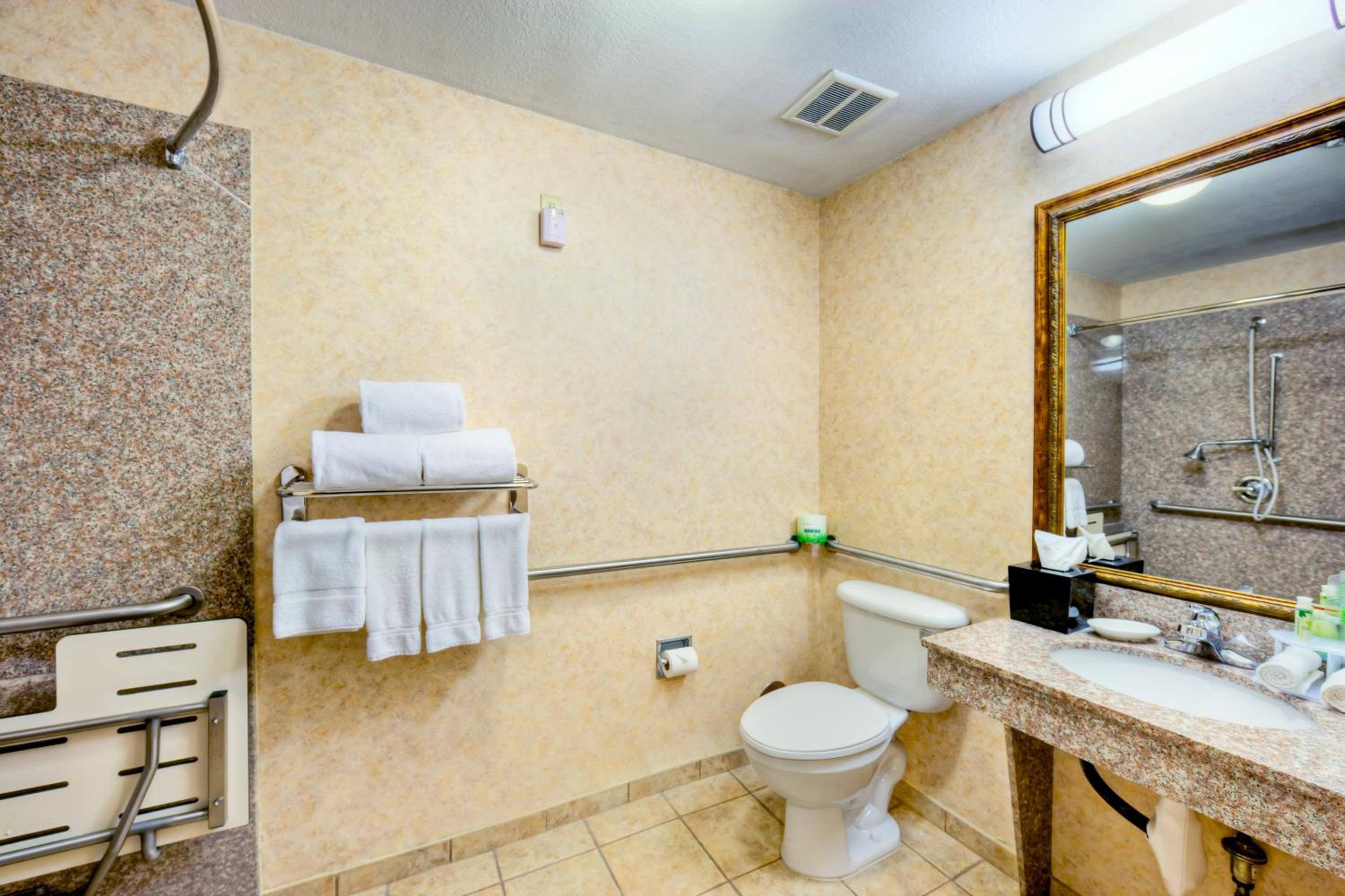 Standard King Room with Mobility Accessible Roll-In Shower - Photo 5