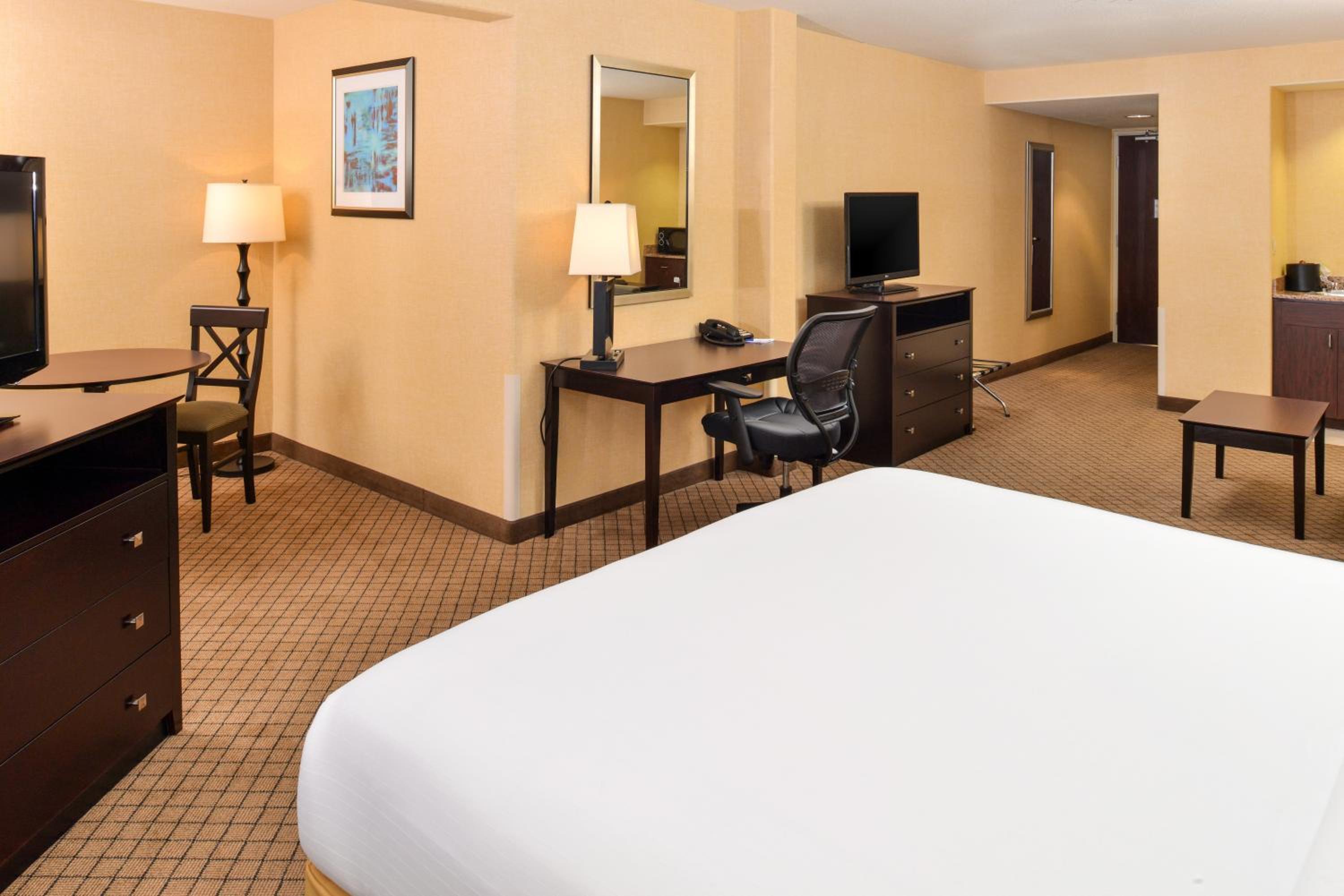 King Suite with Sofa Bed - Photo 7