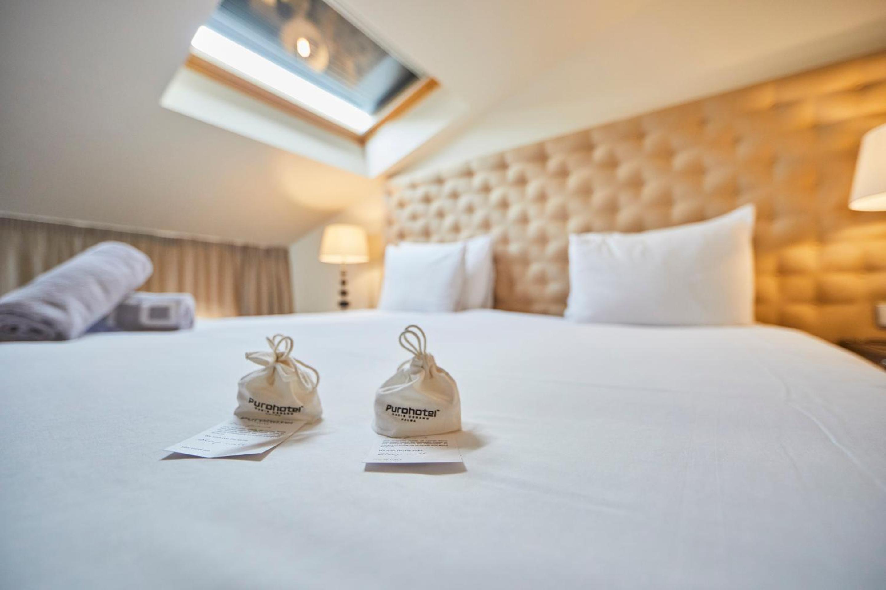 Deluxe Suite - Photo 2