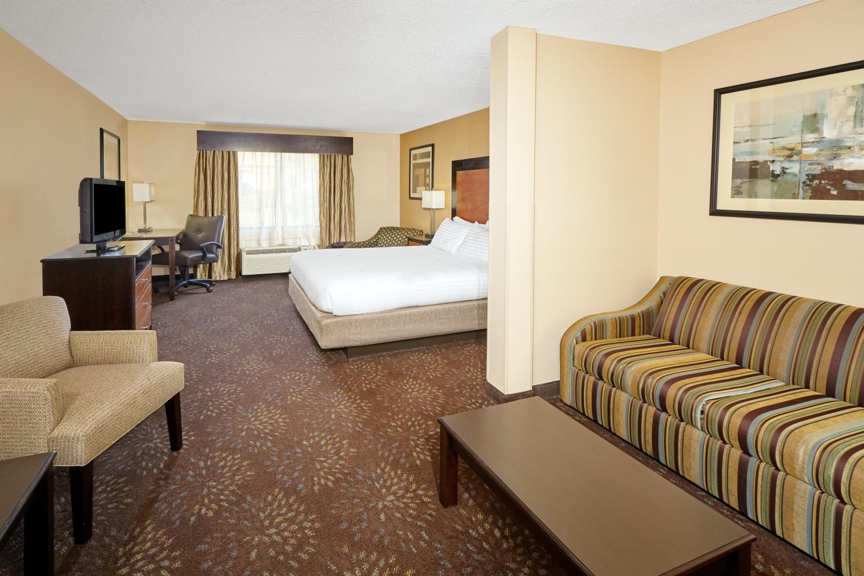 Deluxe King Suite photo 3