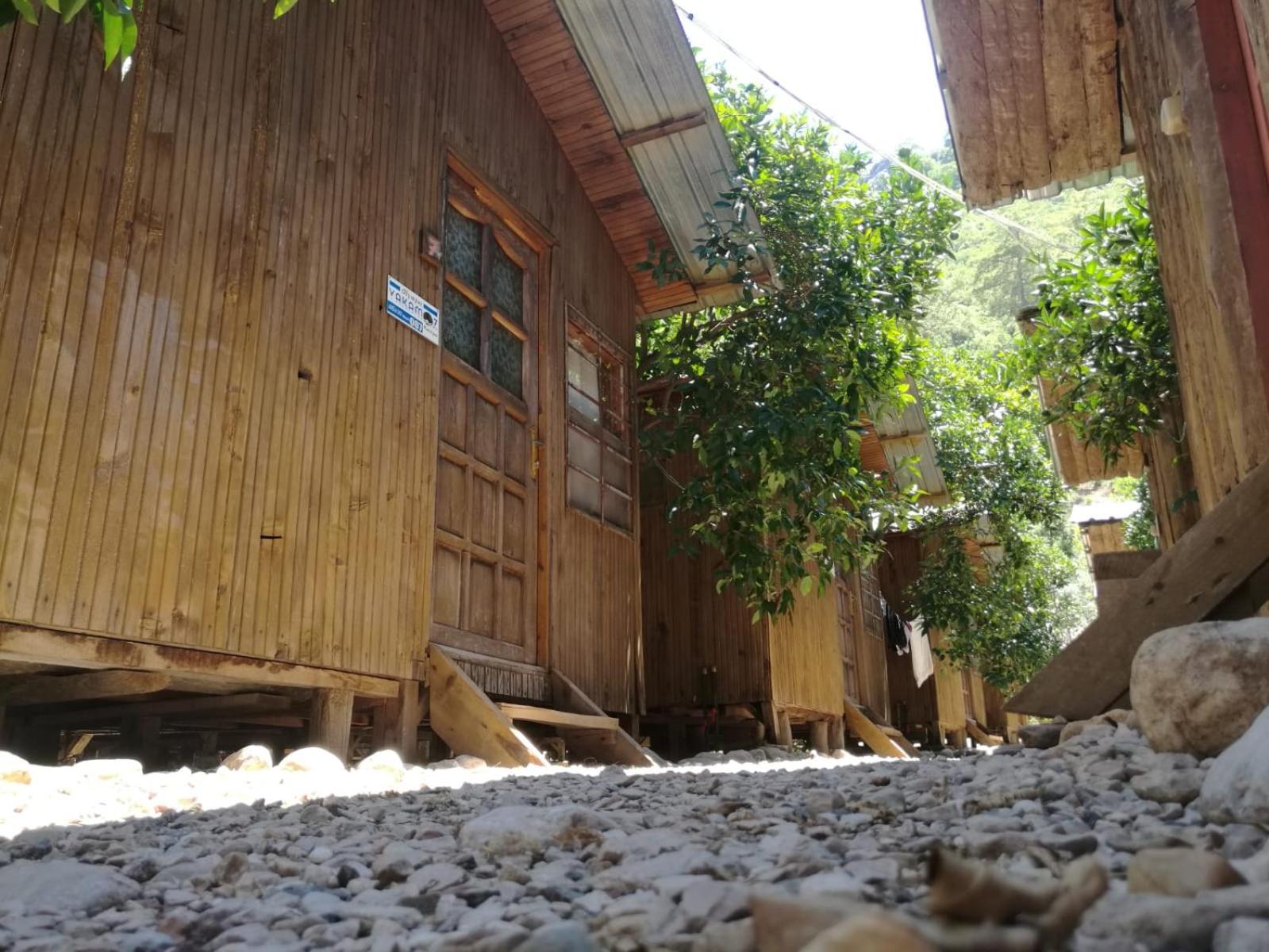 Bungalow (3 Adults) - Photo 1
