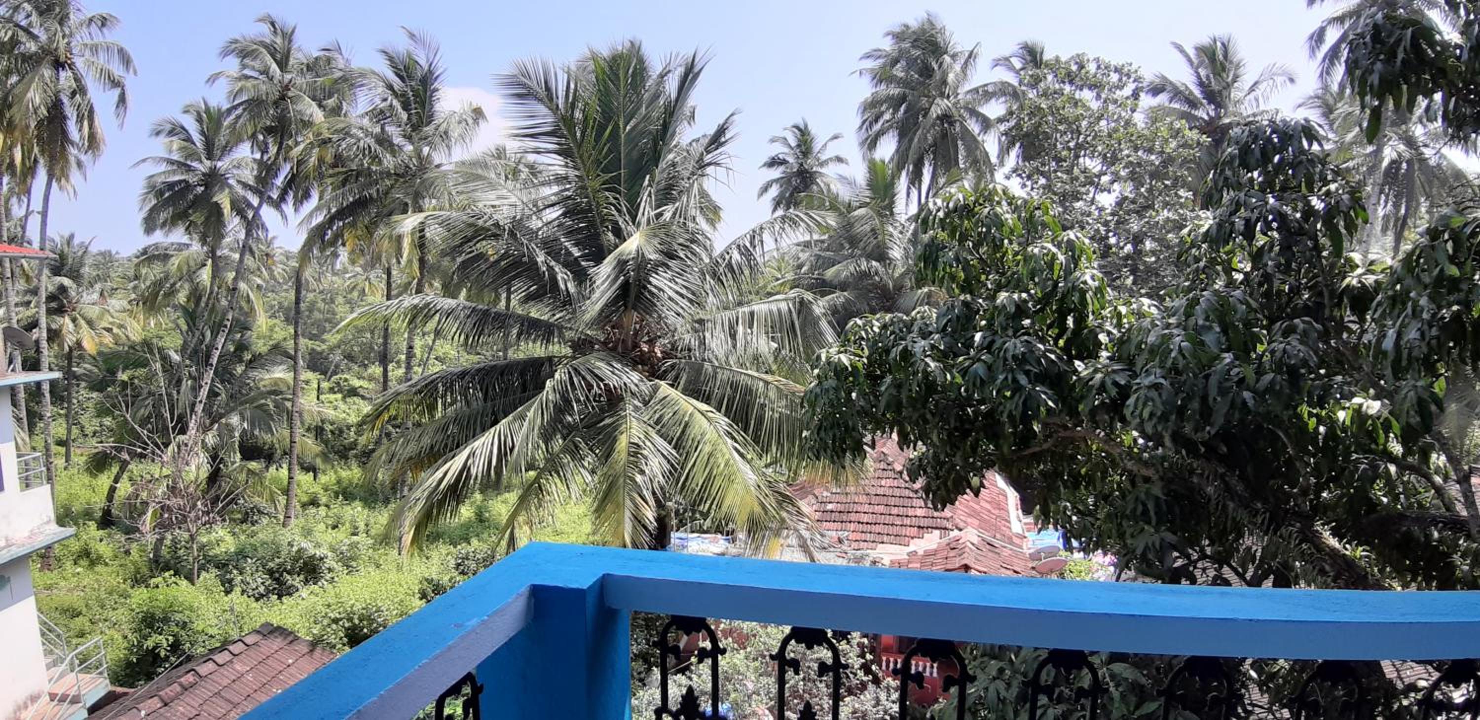 Deluxe Double Room with Balcony photo 3