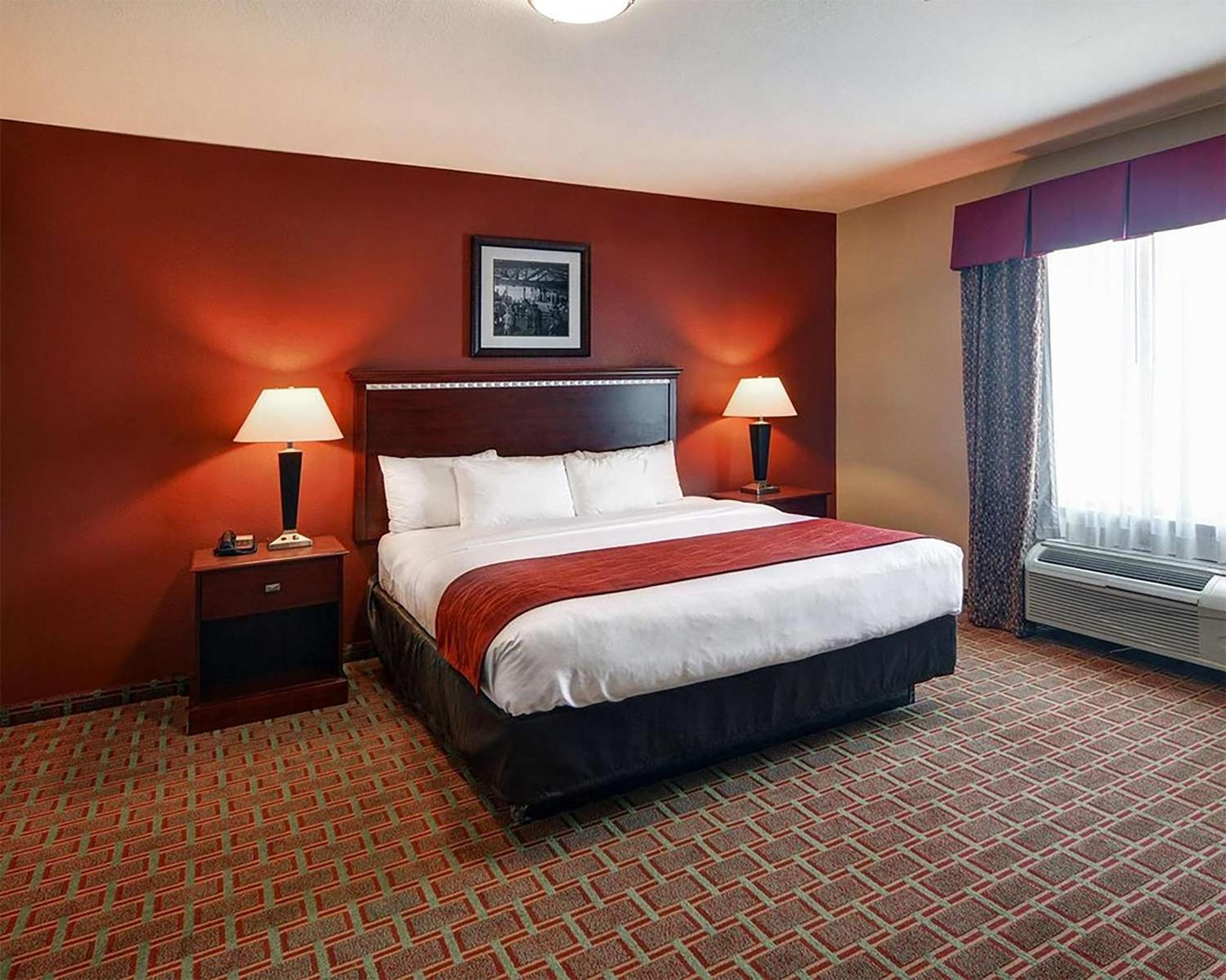 Efficiency King Suite with Kitchenette  - Photo 14