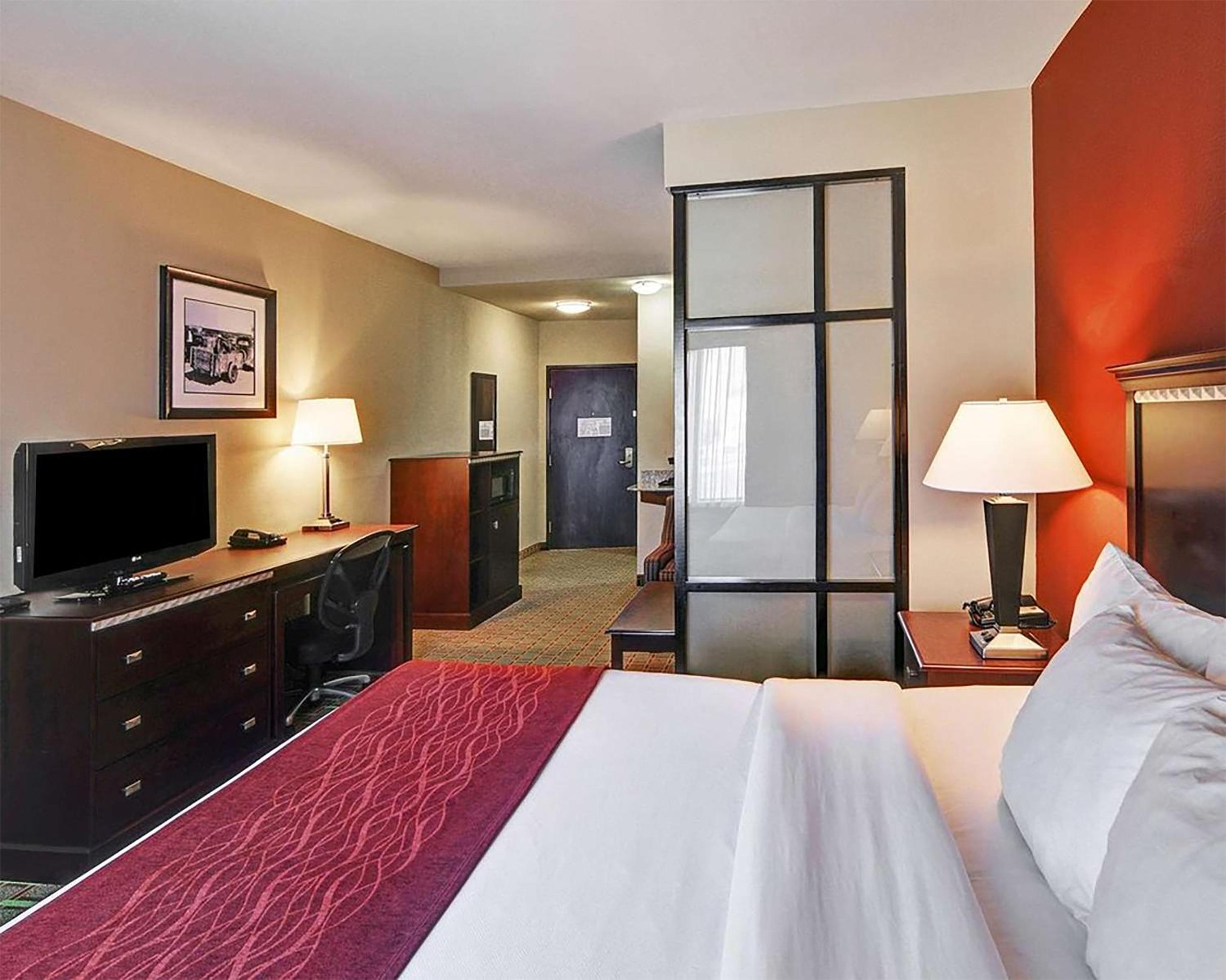 Efficiency King Suite with Kitchenette  - Photo 12