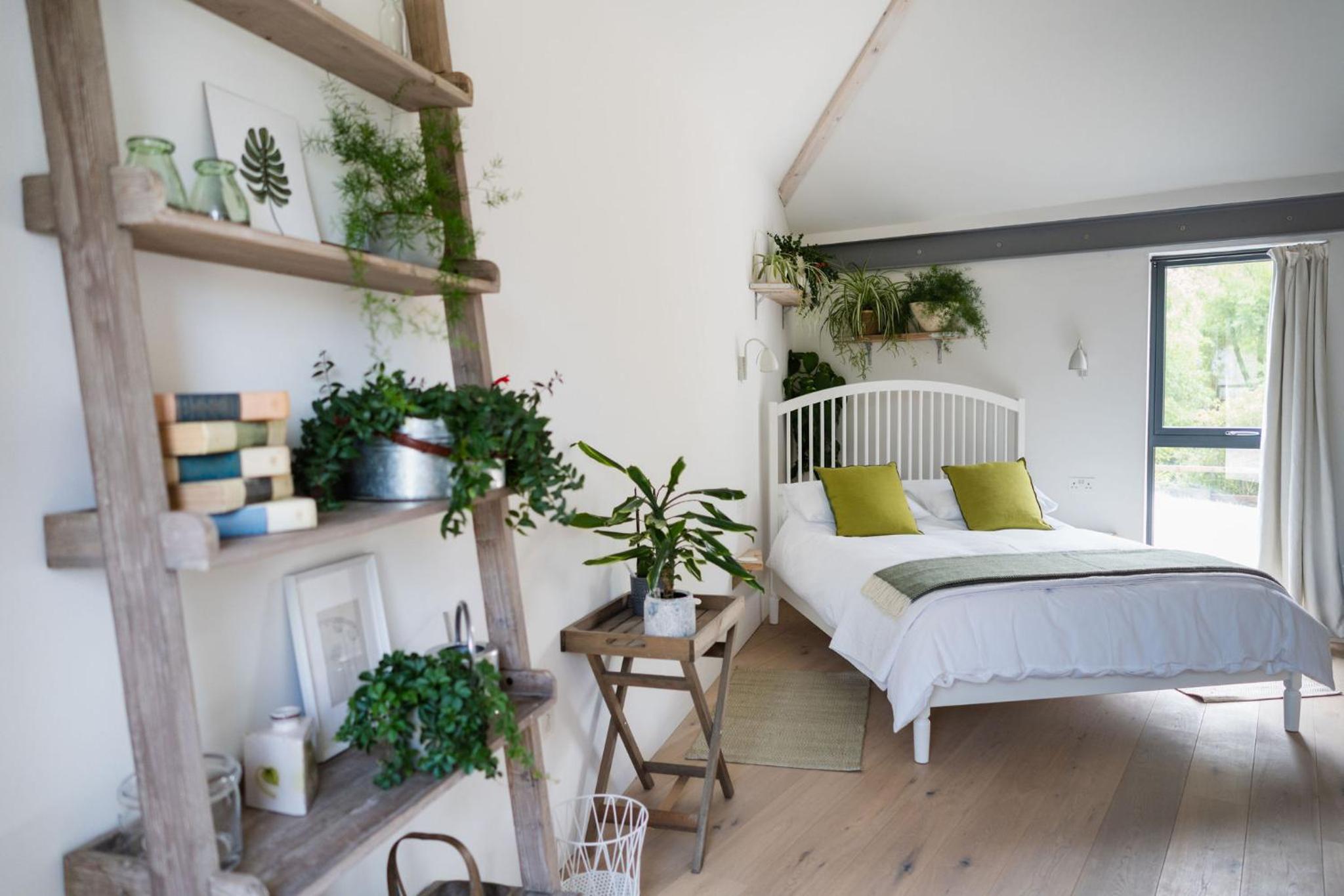 Large Double Room photo 1
