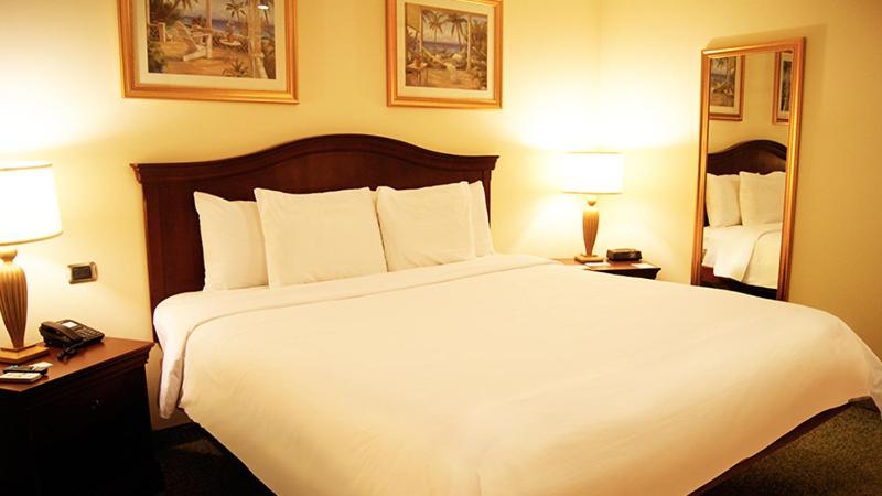 Superior Queen Room photo 1