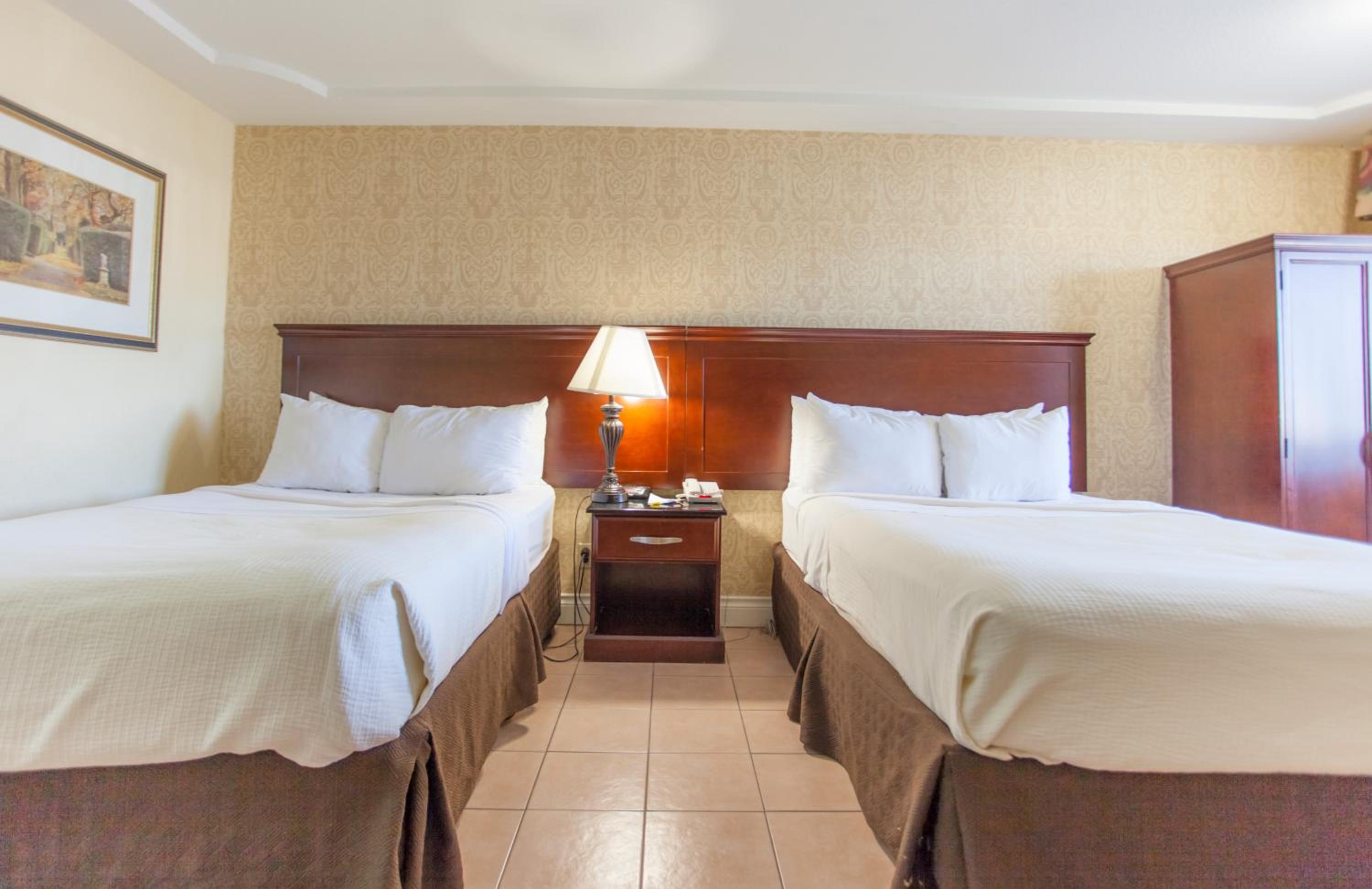 Double Studio with Two Double Beds- Smoking - Photo 3