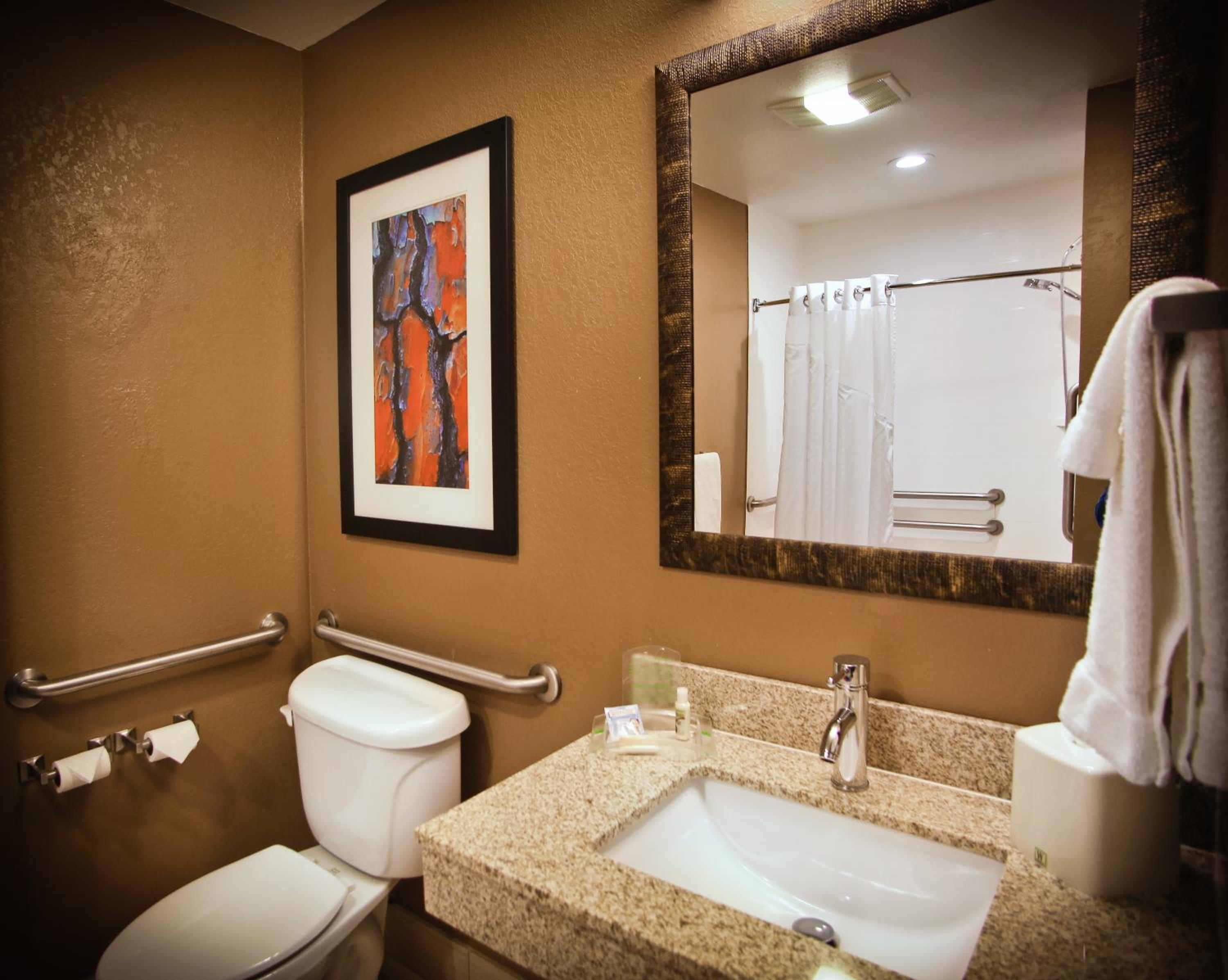 King Room with Mobility Accessible Roll-In Shower - Non-Smoking photo 3
