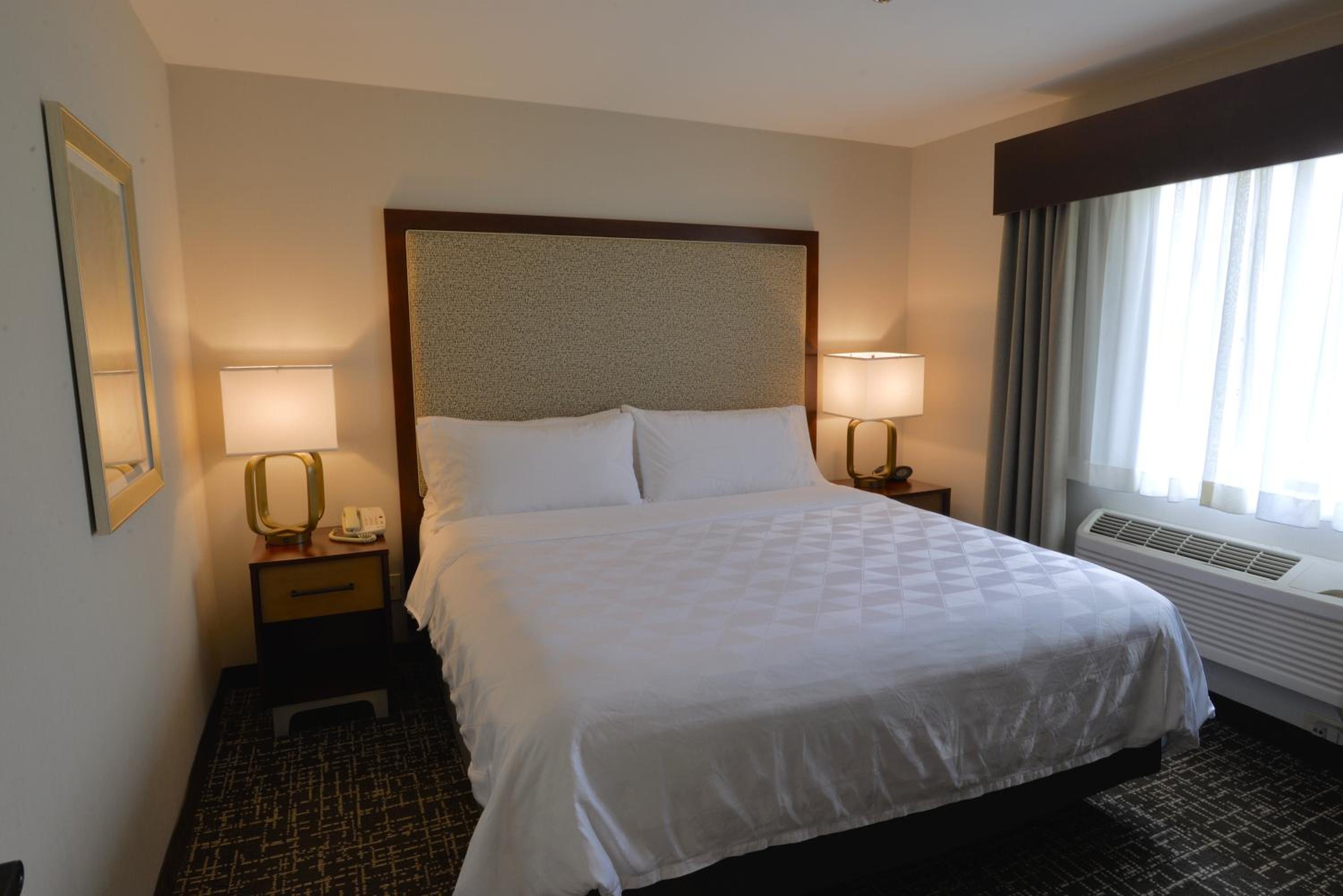 King Suite - Photo 1