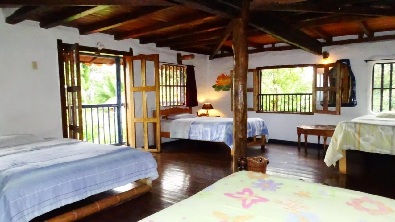 Single Bed in Female Dormitory Room photo 2