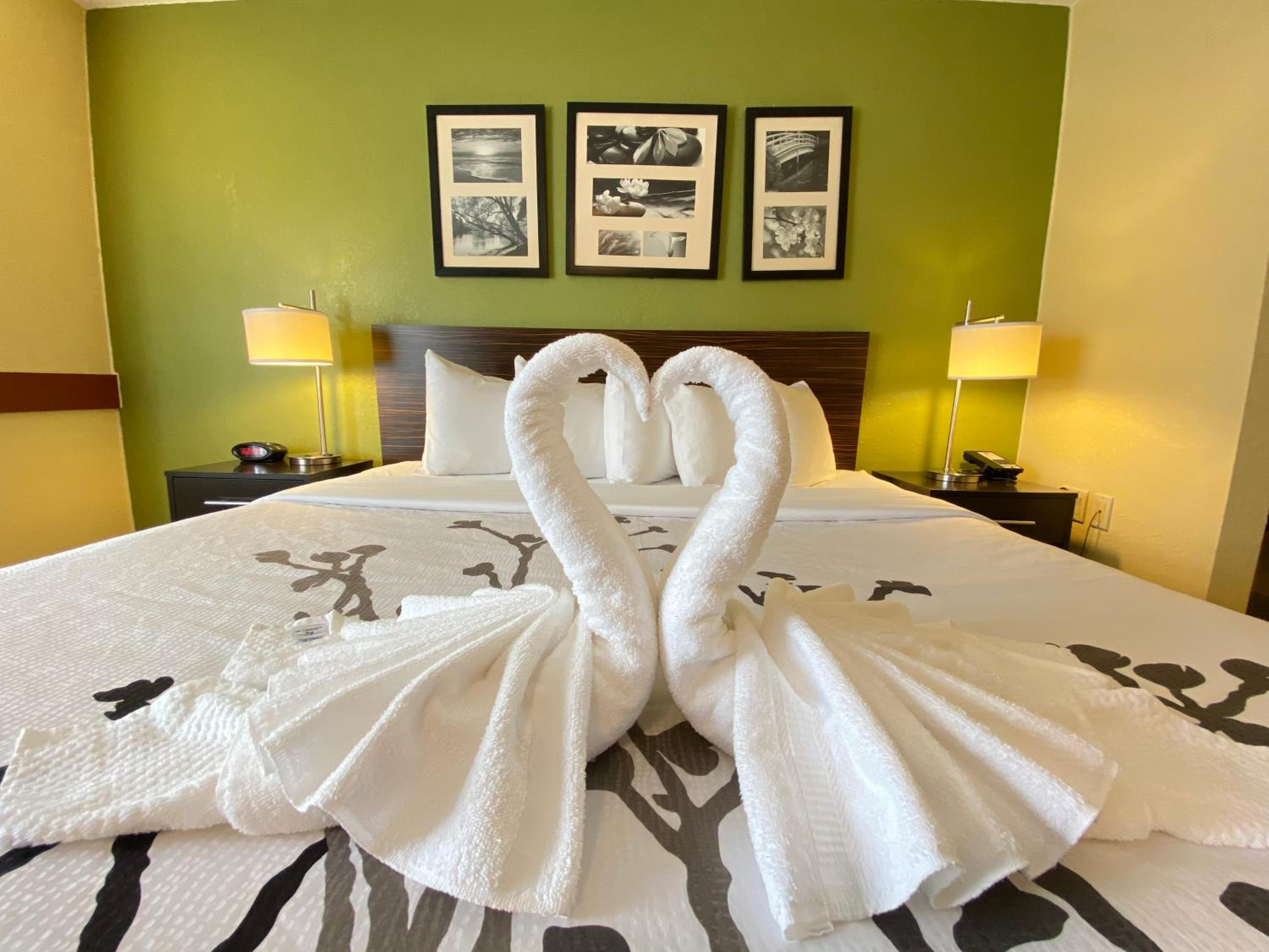 King Room - Photo 7