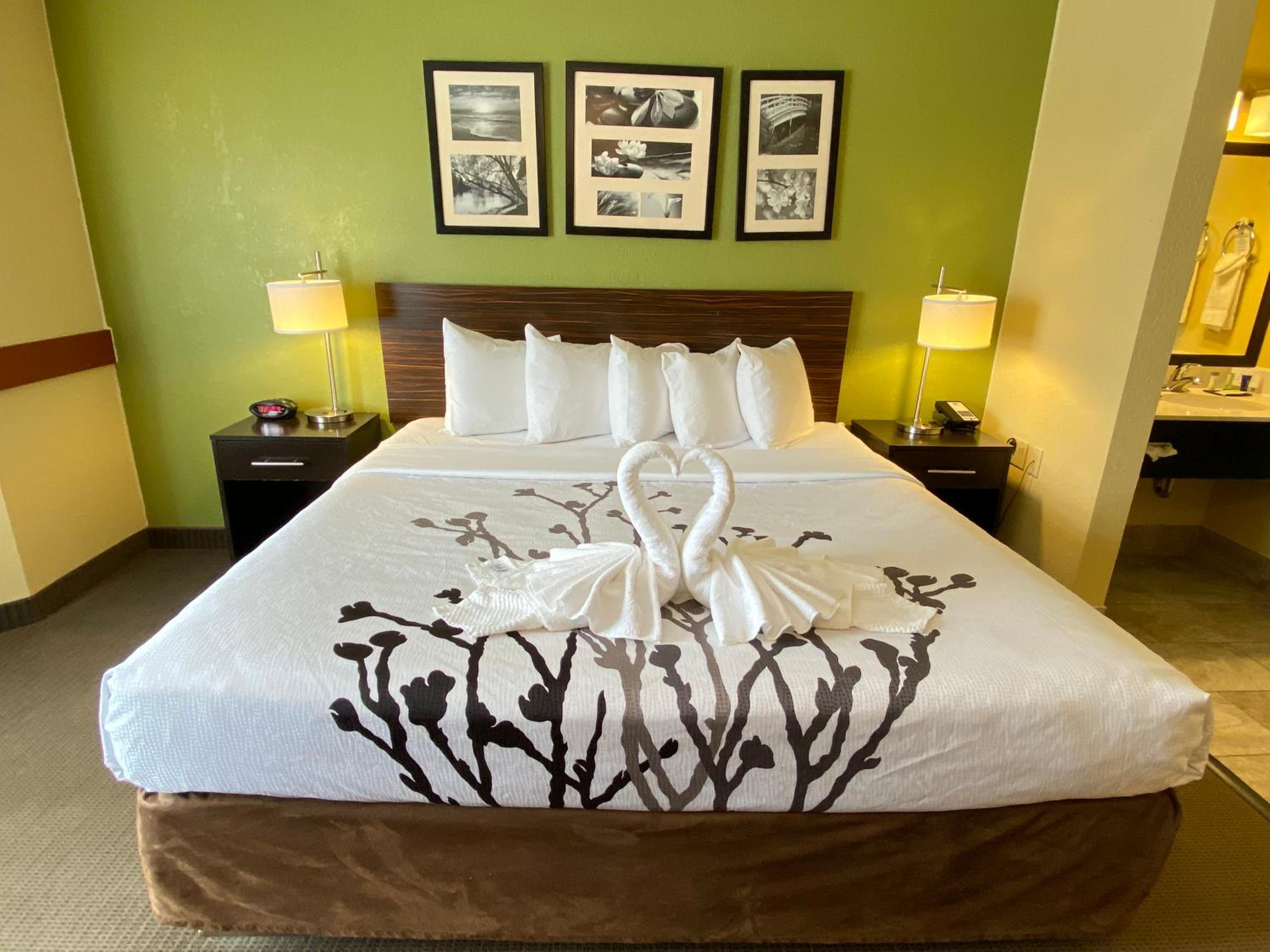 King Room - Photo 6