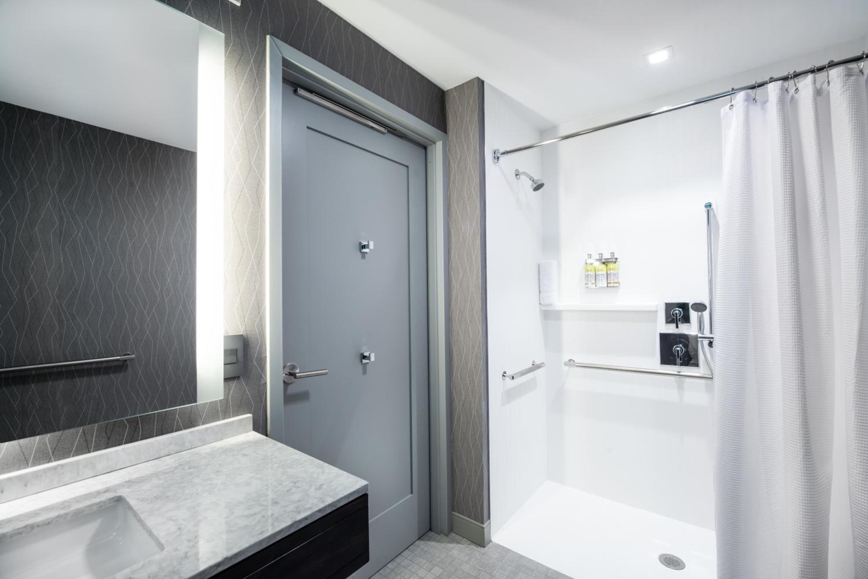 King Studio Suite with Mobility Accessible Roll-In Shower/Non-Smoking - Photo 4