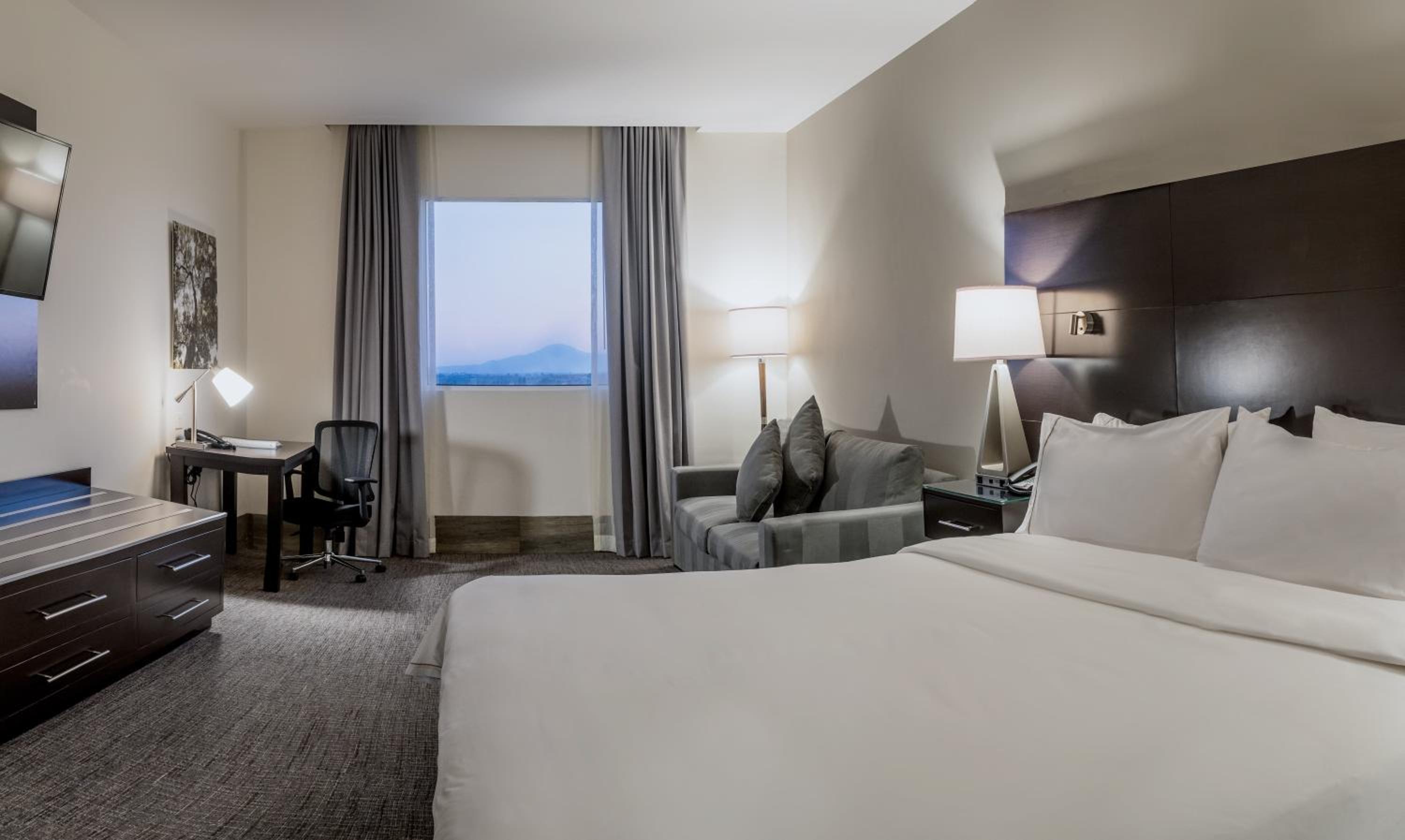 King Suite photo 3