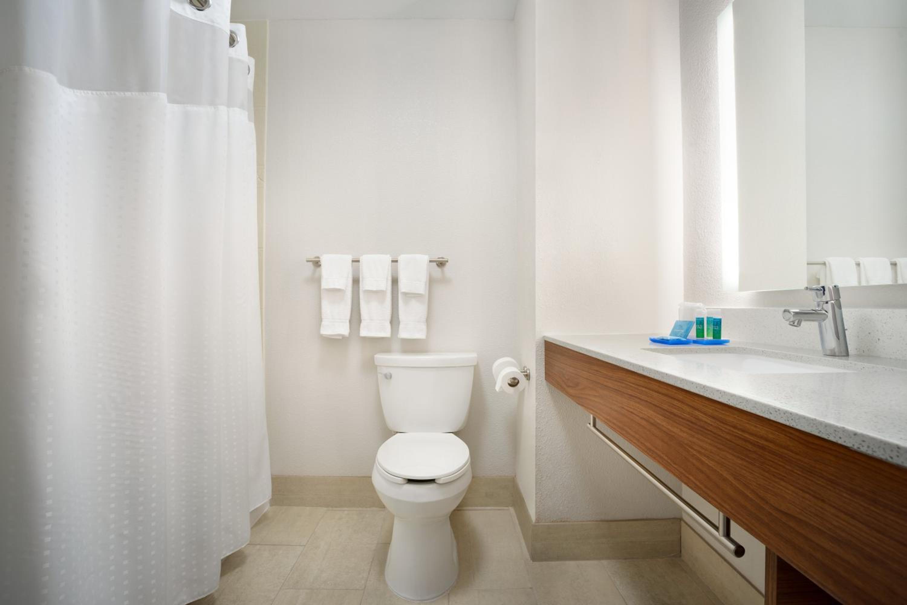 King Suite with Jetted Tub - Photo 5