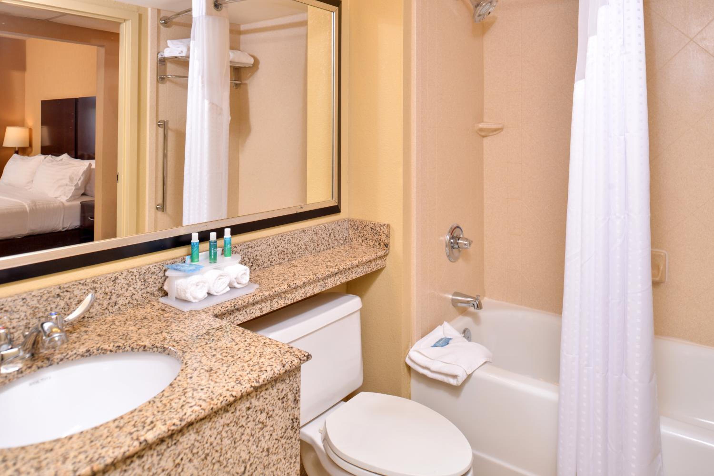One-Bedroom King Suite - Photo 3