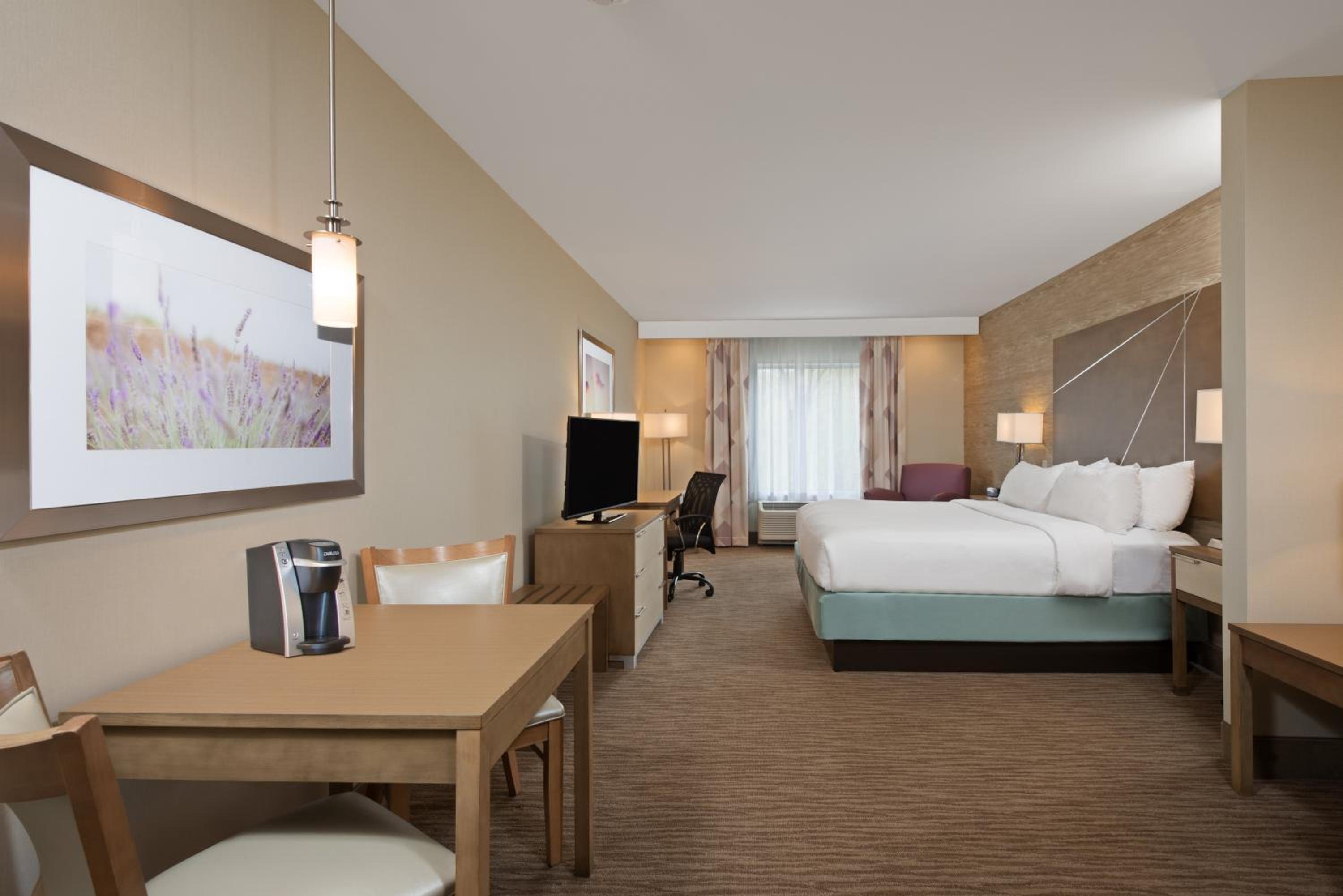 One-Bedroom Suite photo 1