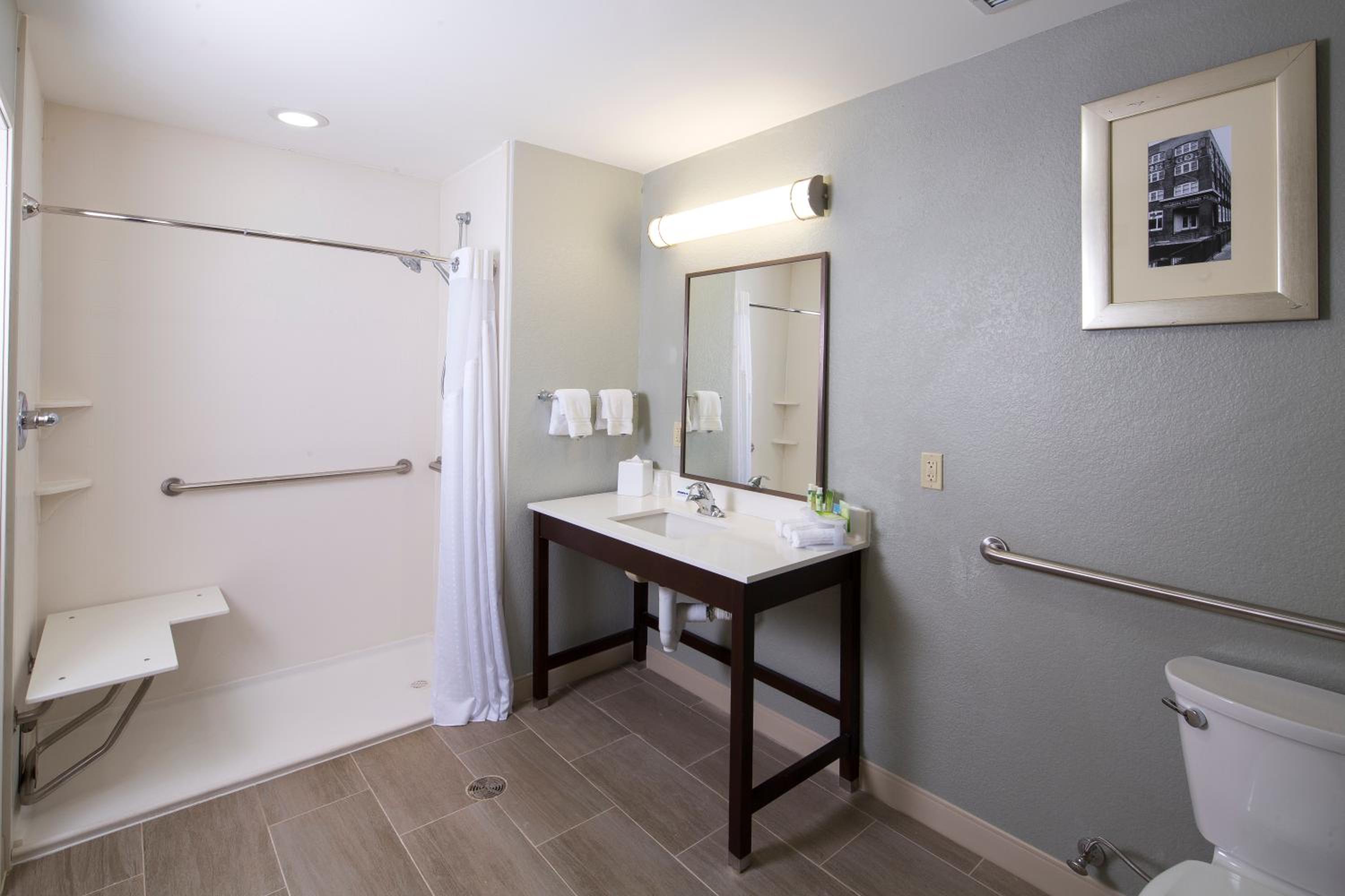 Standard King Room with Roll-In Shower - Communications Access photo 3