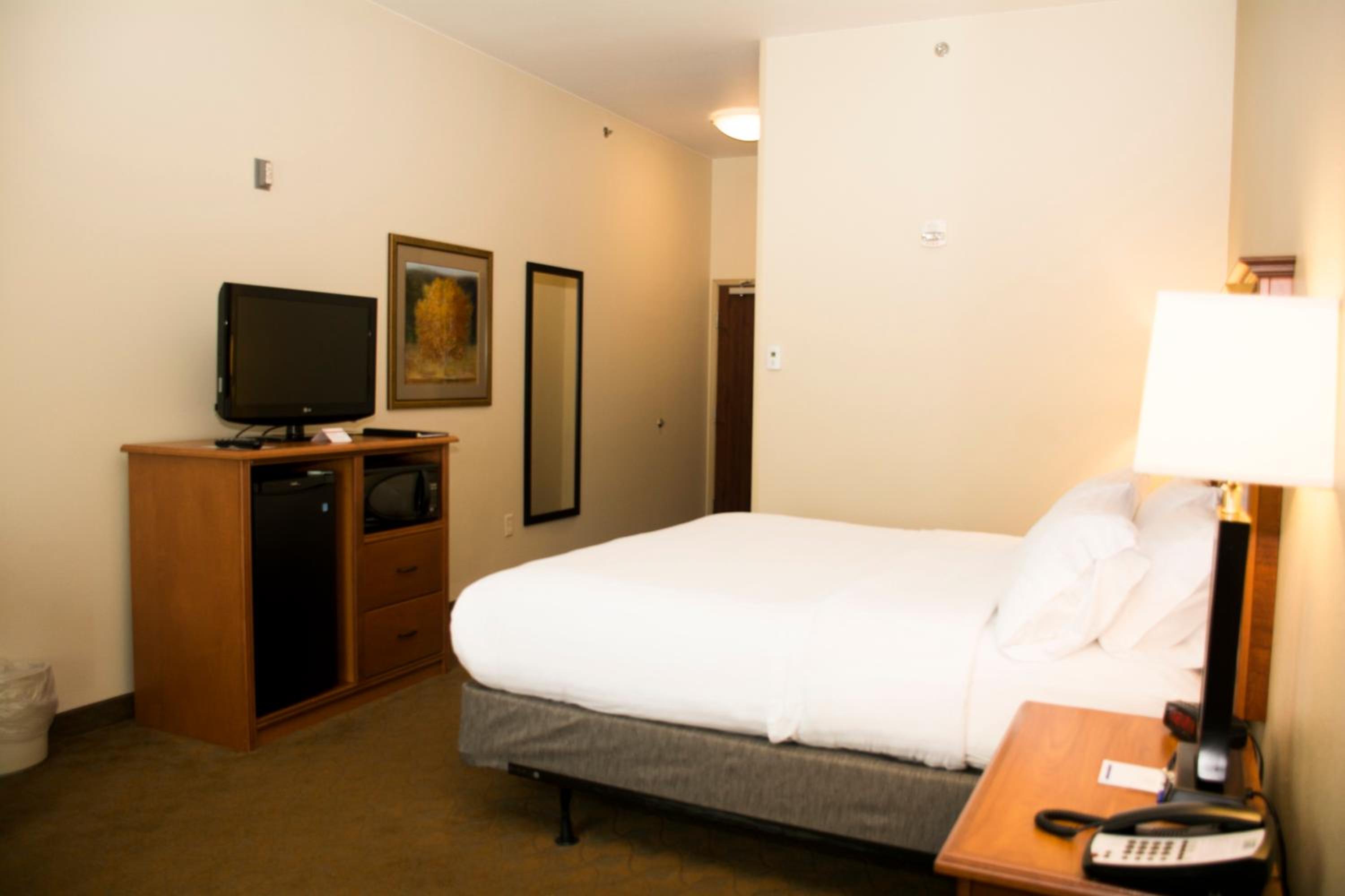 Standard King Room with Mobility Accessible Roll-In Shower - Photo 1