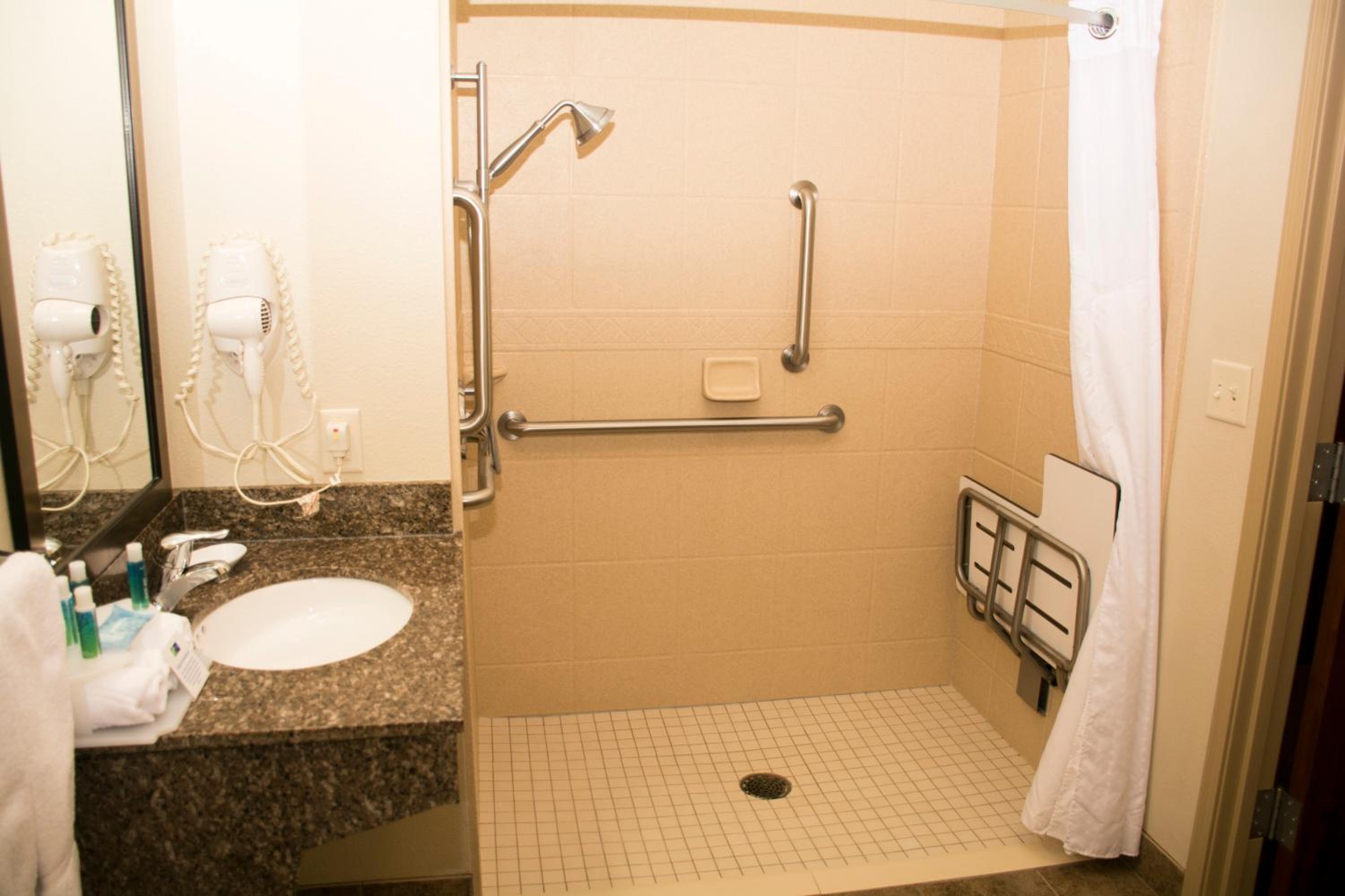 Standard King Room with Mobility Accessible Roll-In Shower - Photo 2