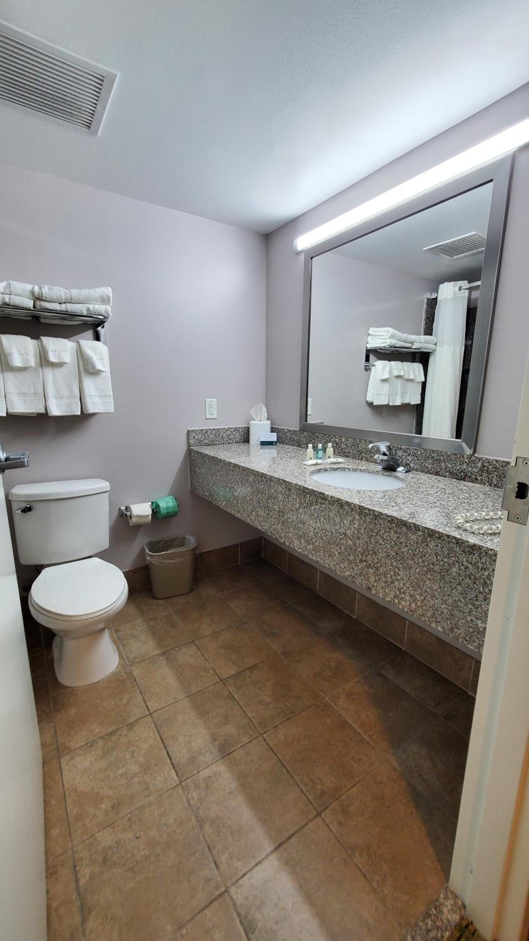 King Room - Non-Smoking - Photo 6