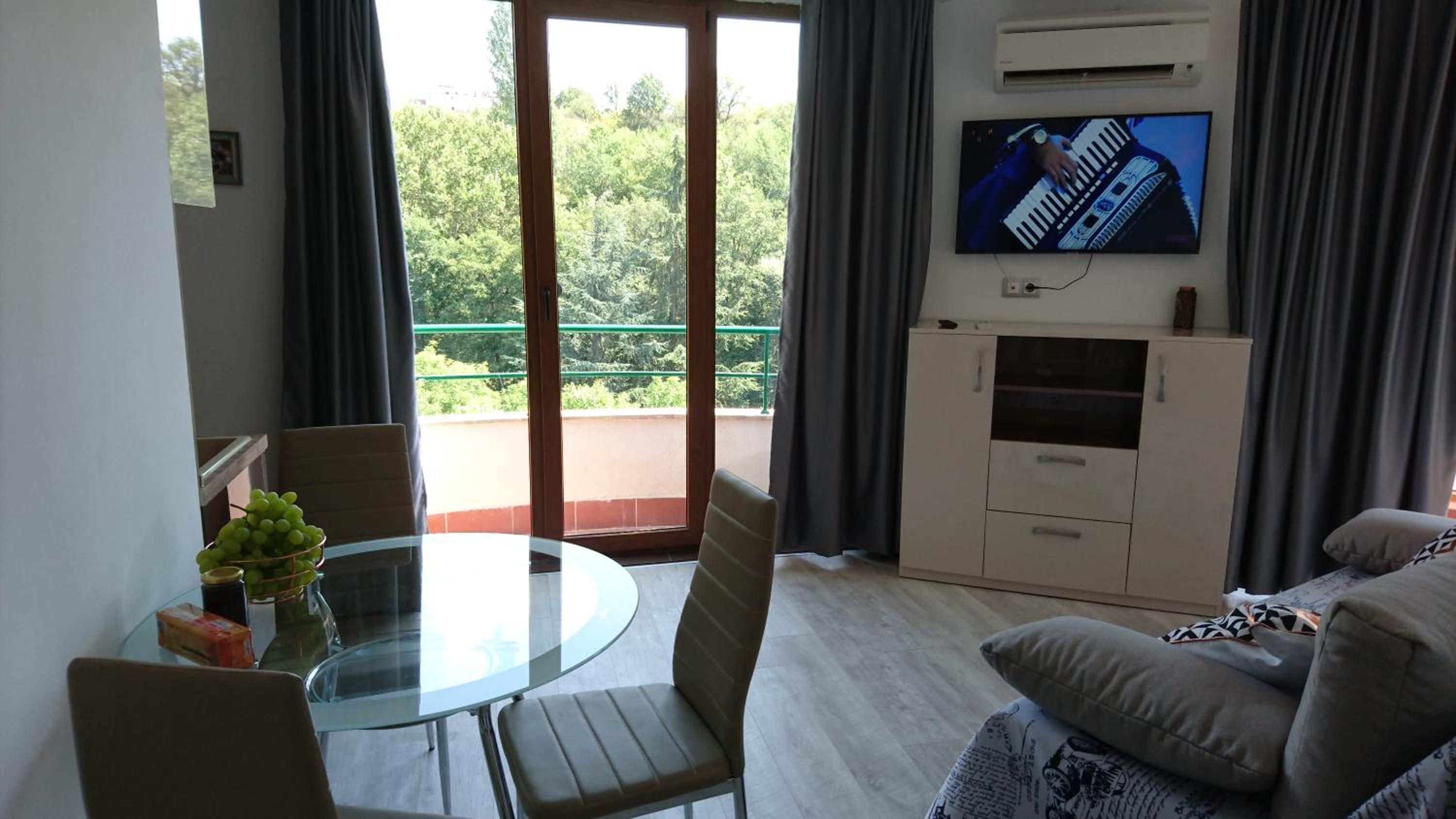One-Bedroom Apartment with Terrace and Park View