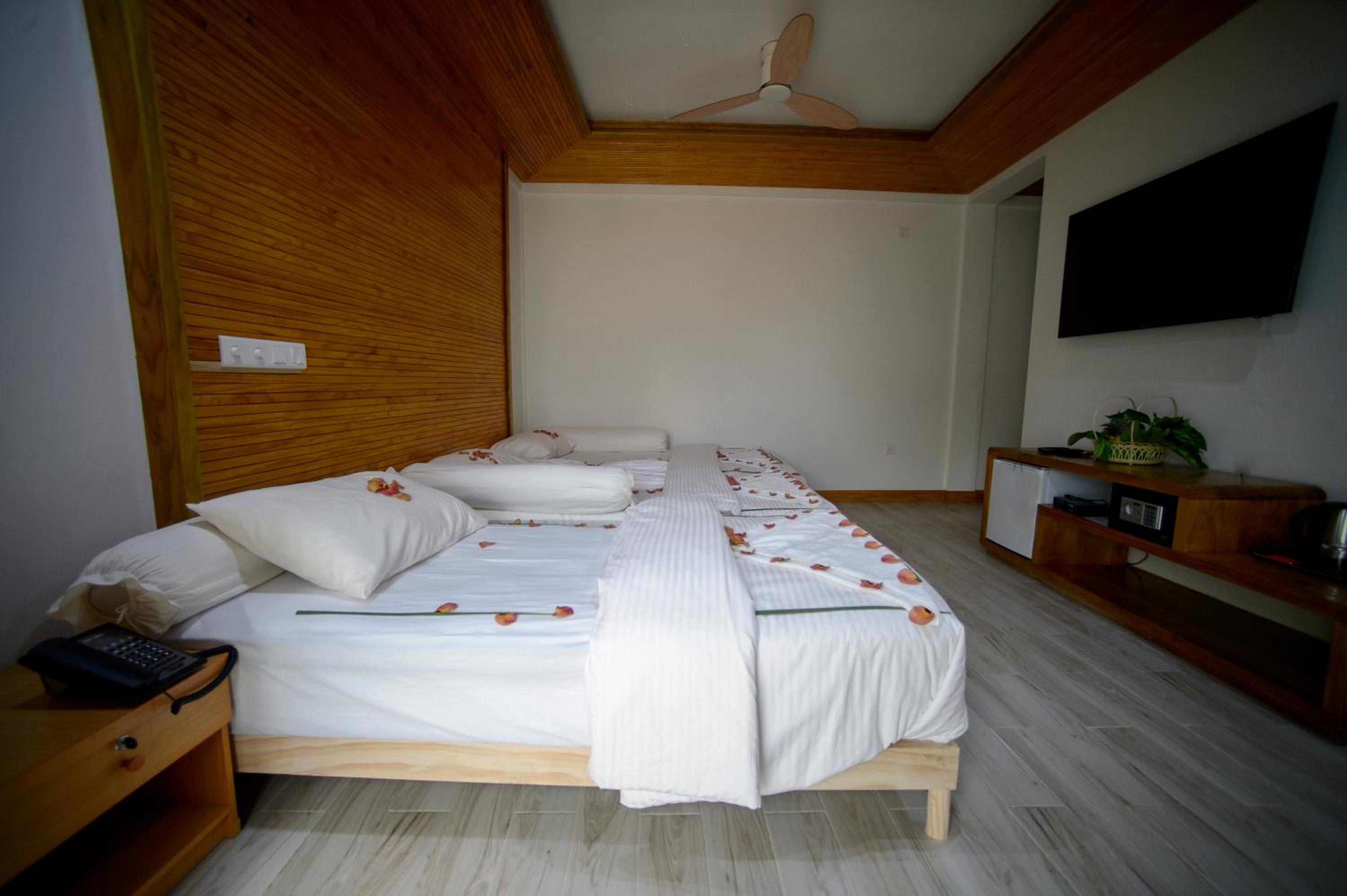 Suite - Photo 2