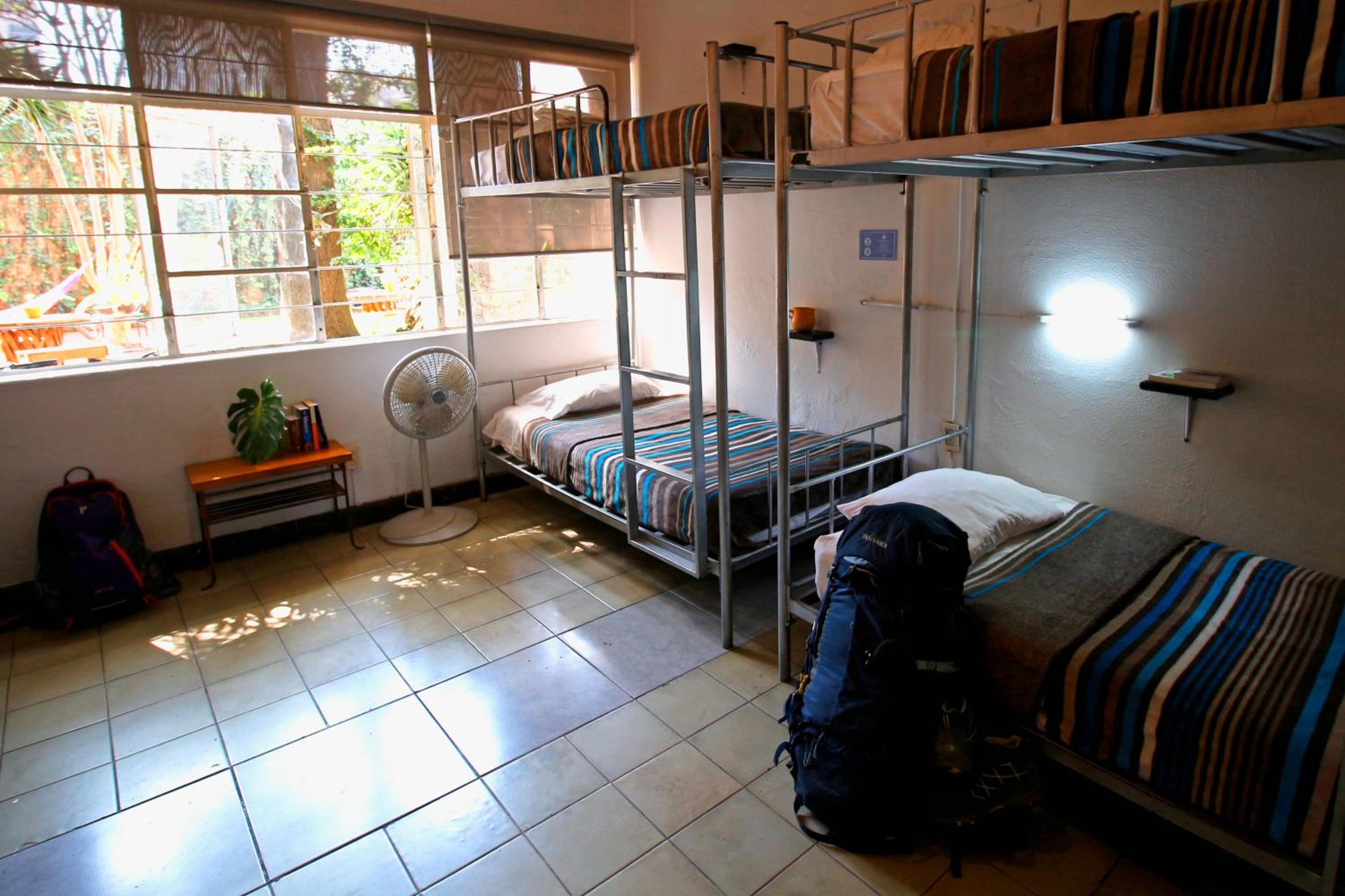 Bed in 8-Bed Mixed Dormitory Room