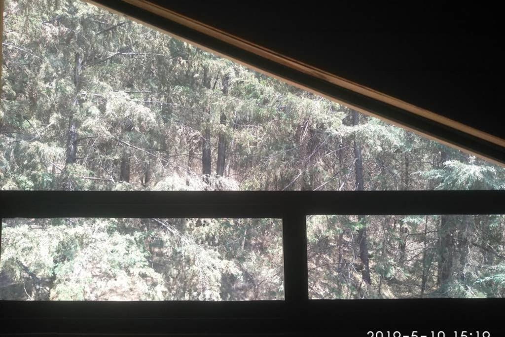 Three-Bedroom Chalet - Photo 18