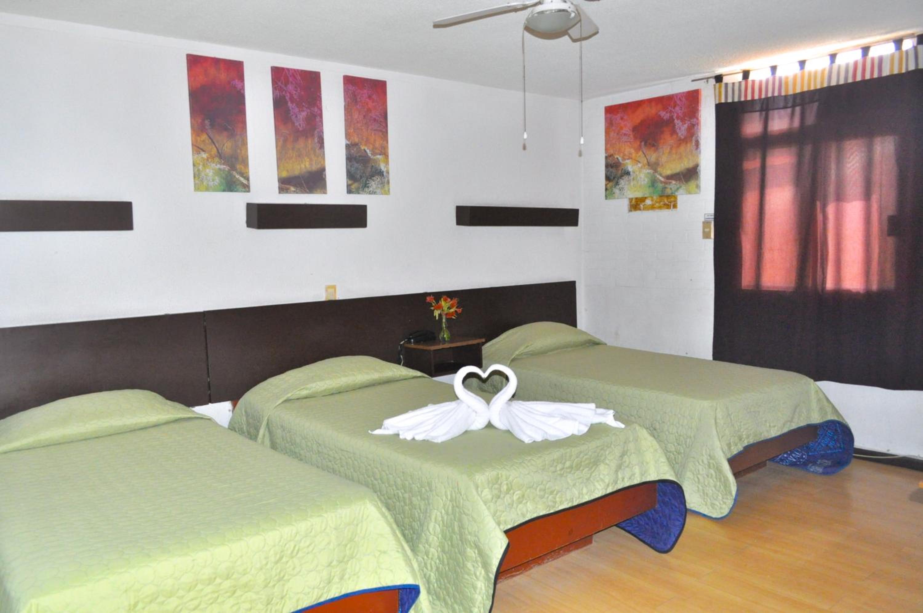 Triple Room photo 1