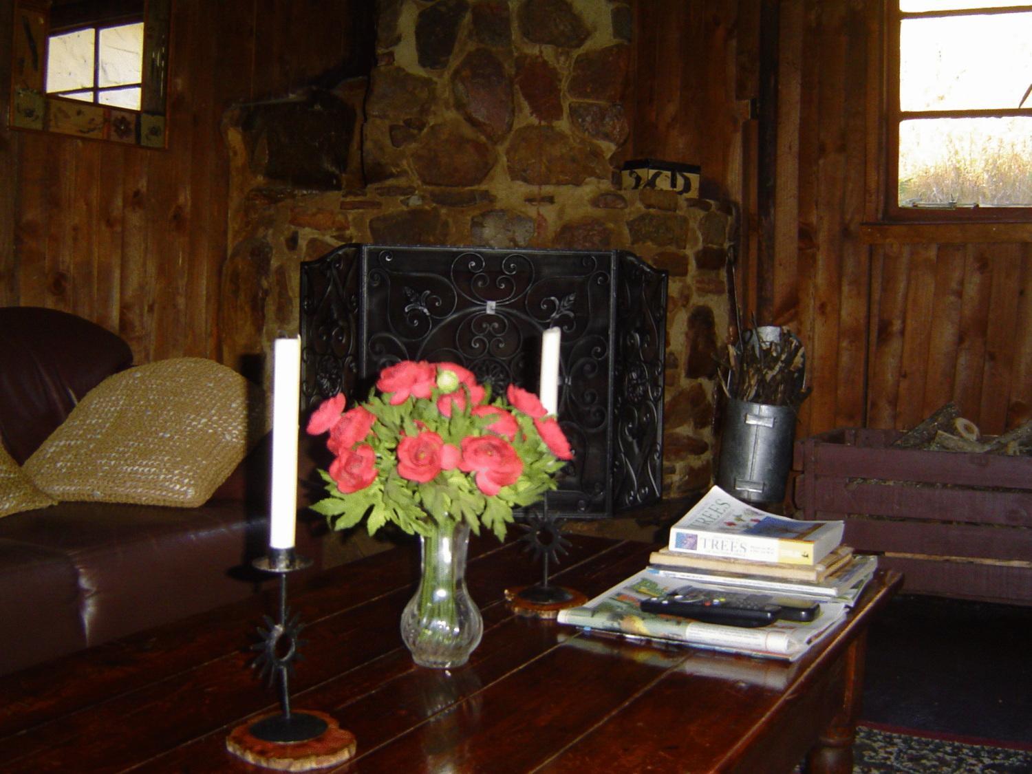 The Forest Cottage photo 2