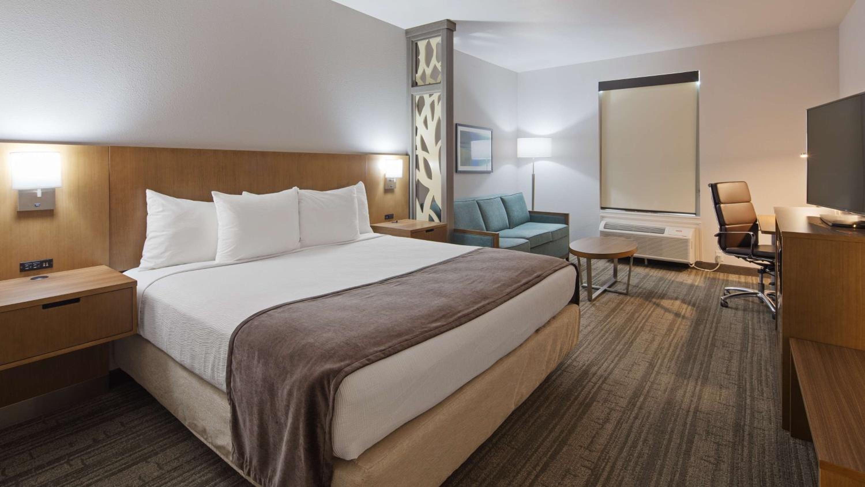 King Suite - Photo 4
