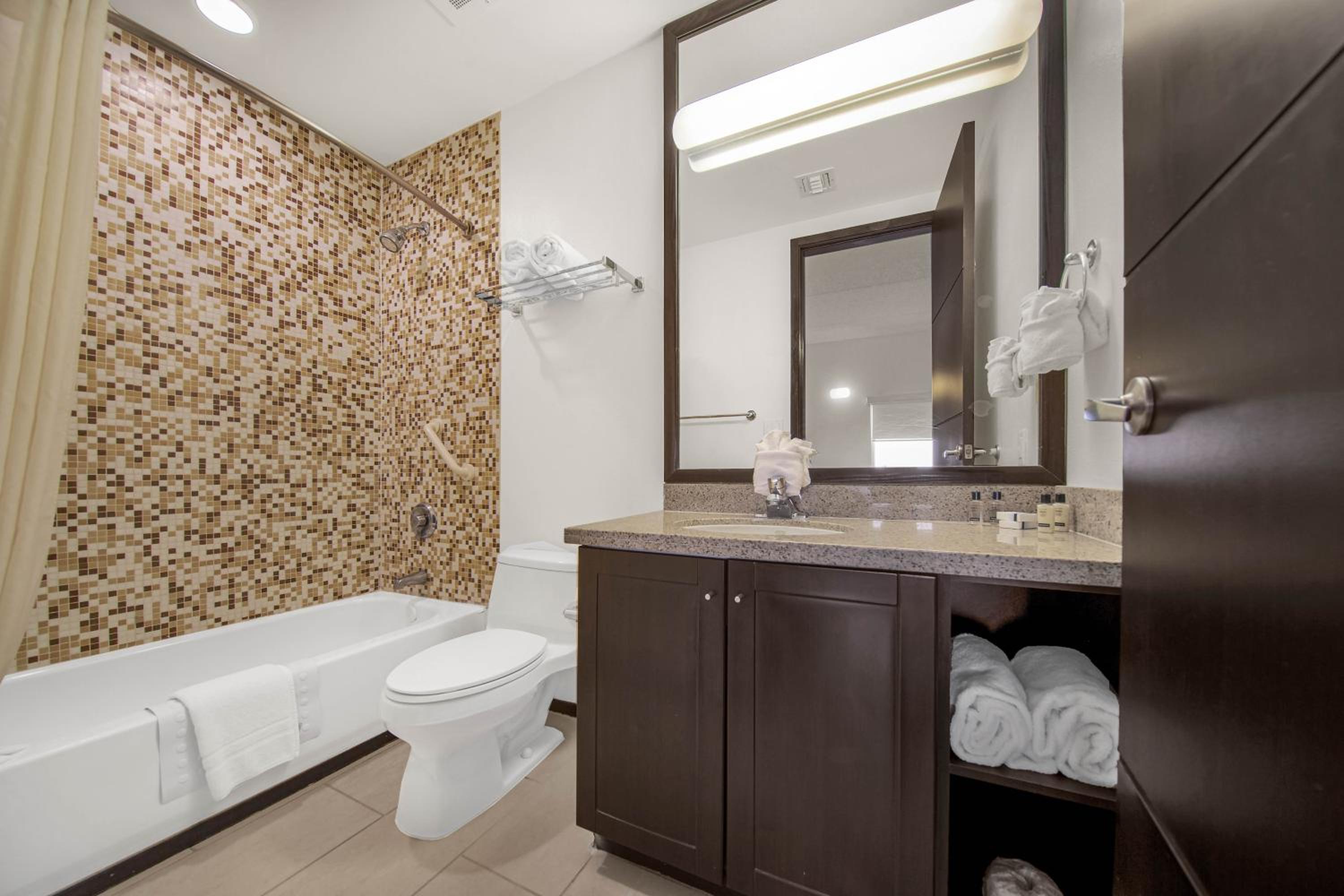 Three-Bedroom Apartment - Photo 12