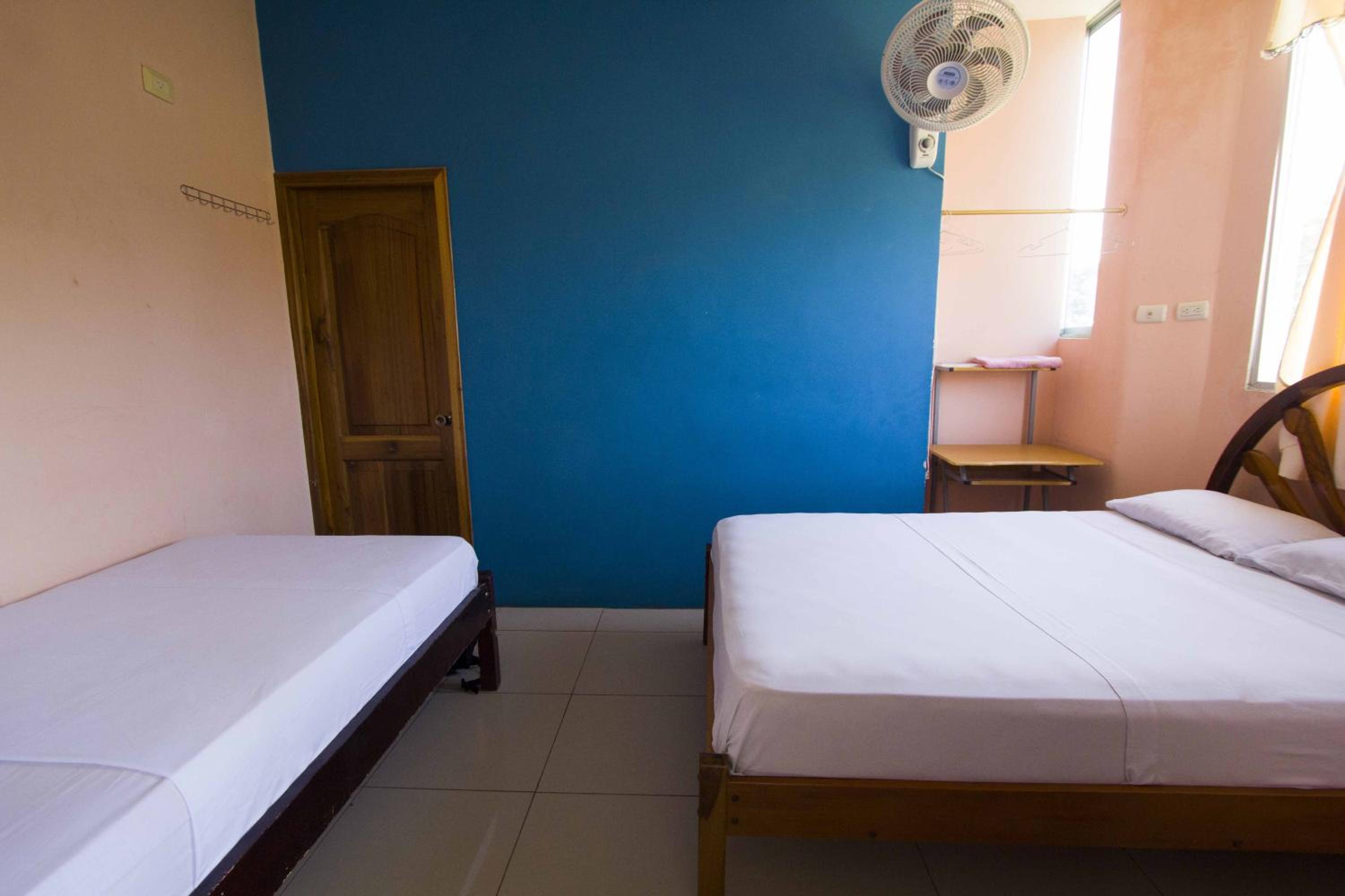 Triple Room photo 1