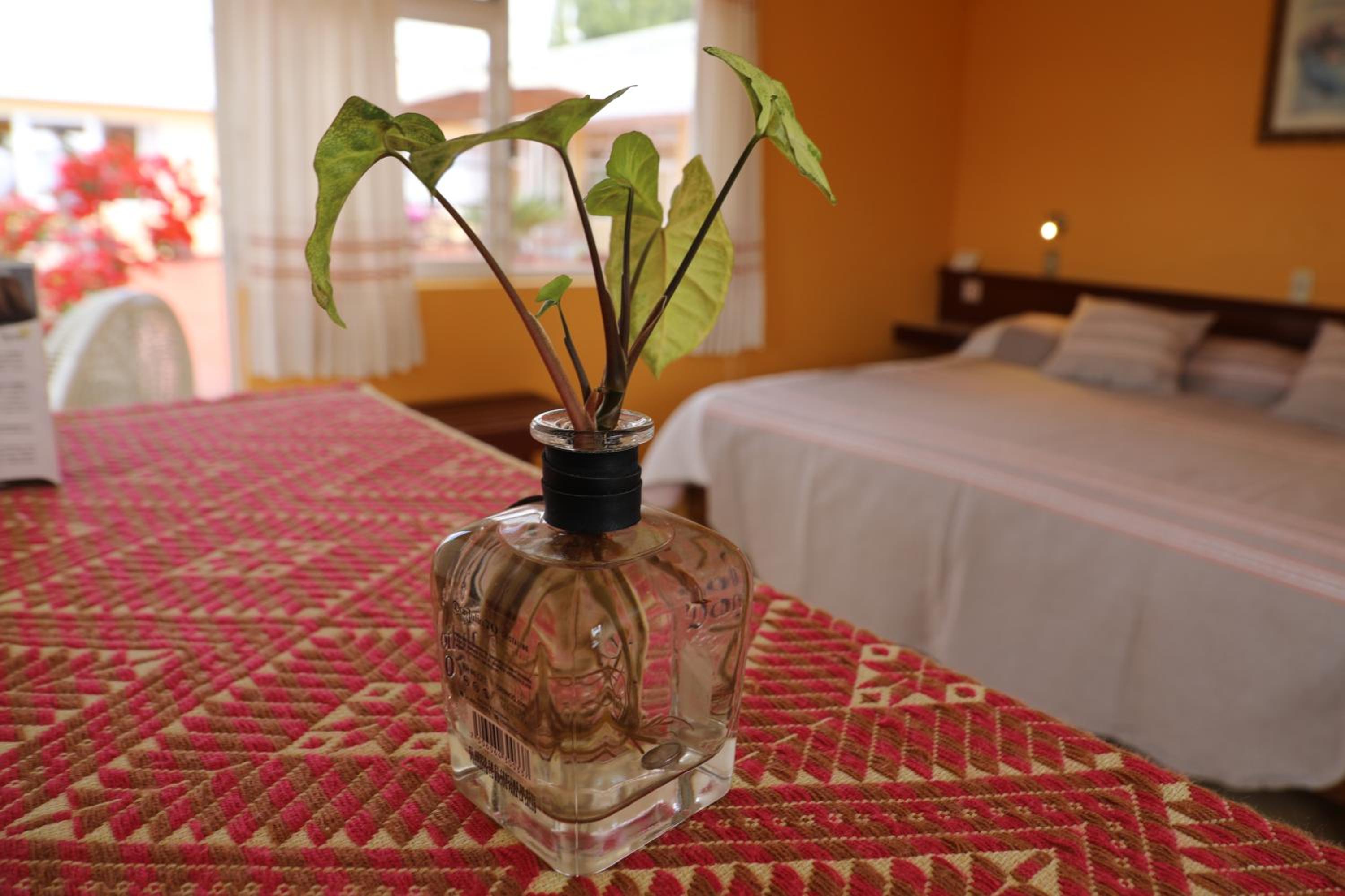 Deluxe King Room photo 2