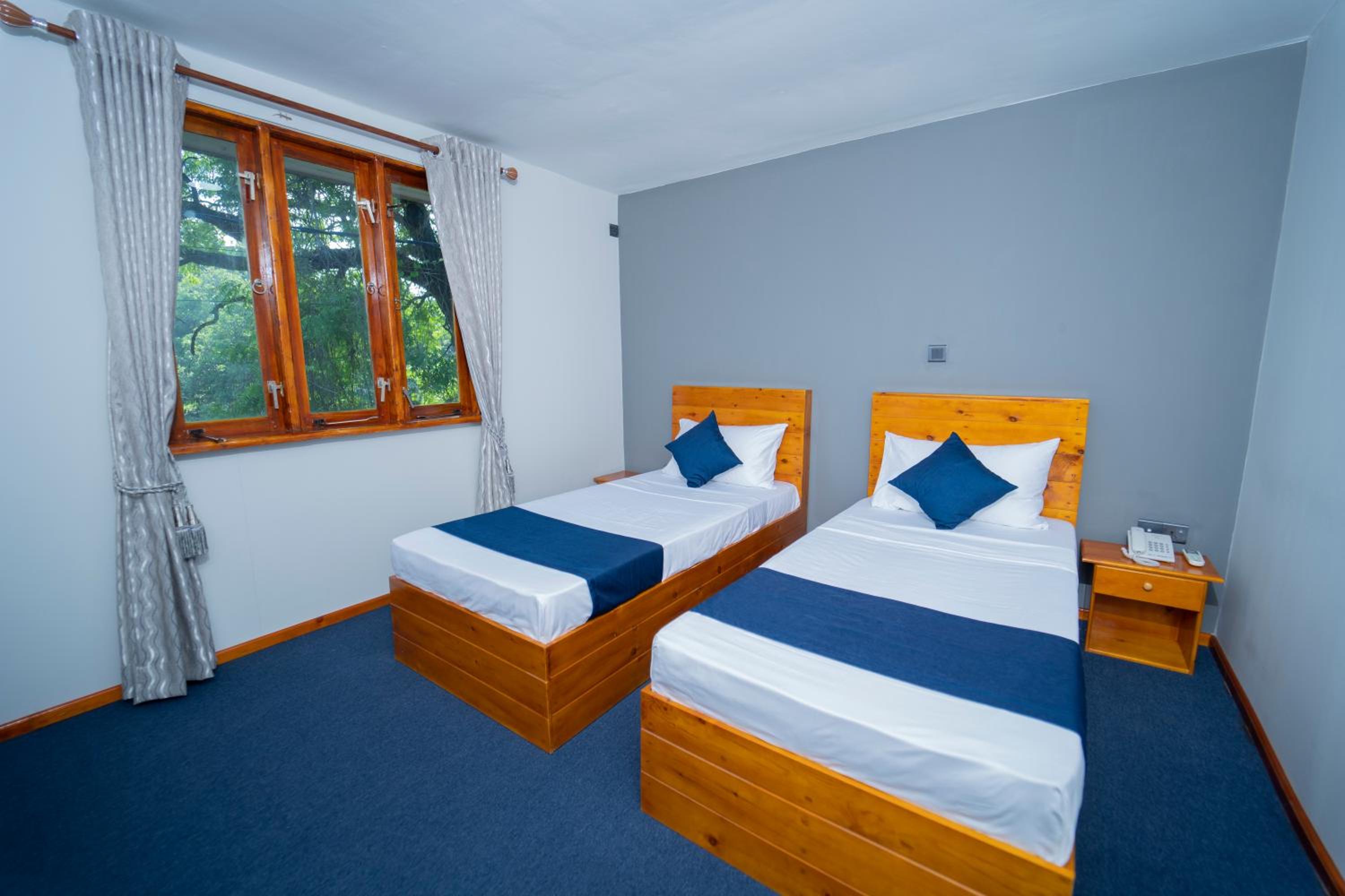 Deluxe Twin Room photo 1