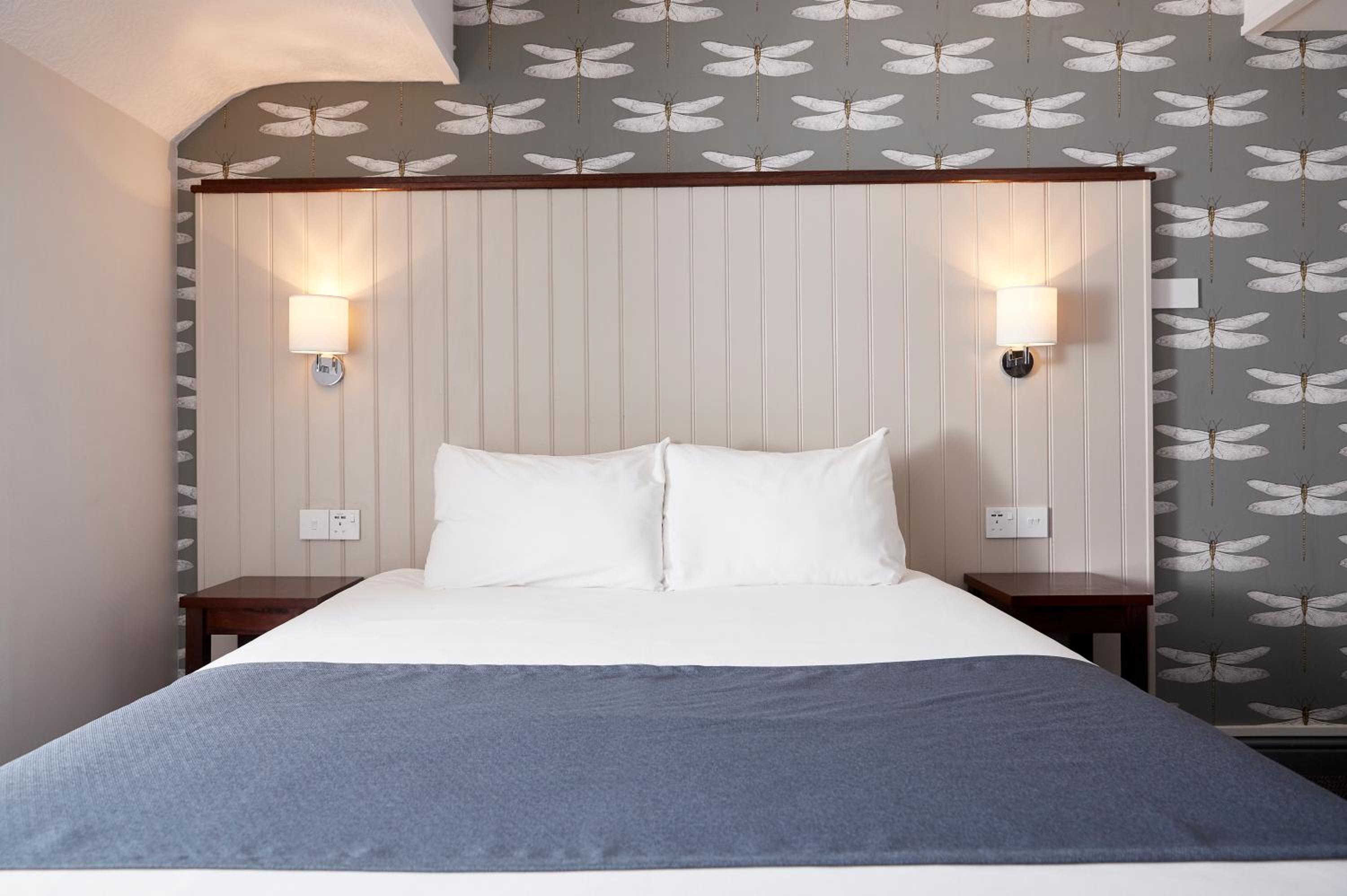 King Room photo 1