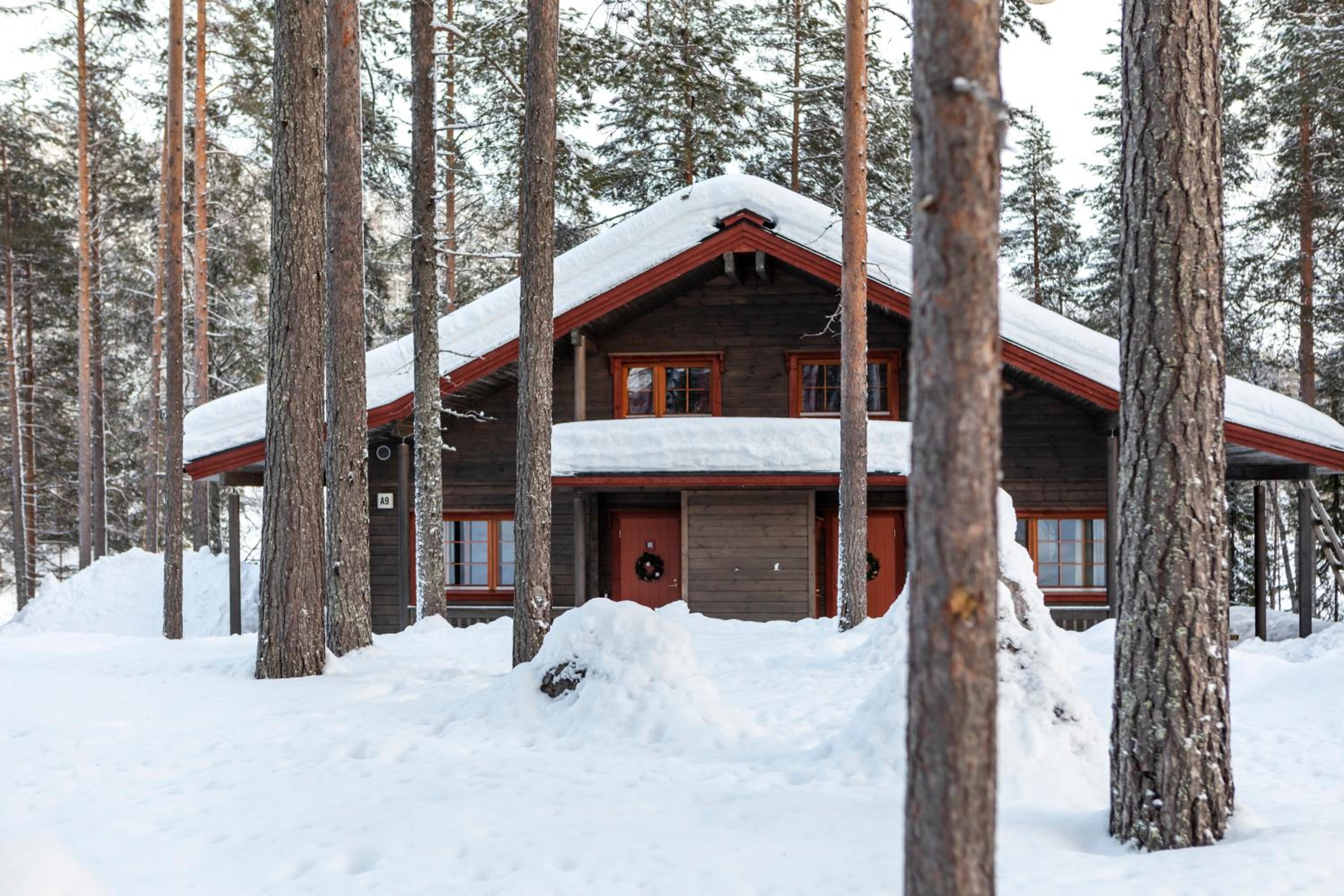 Superior Apartment with Sauna photo 2