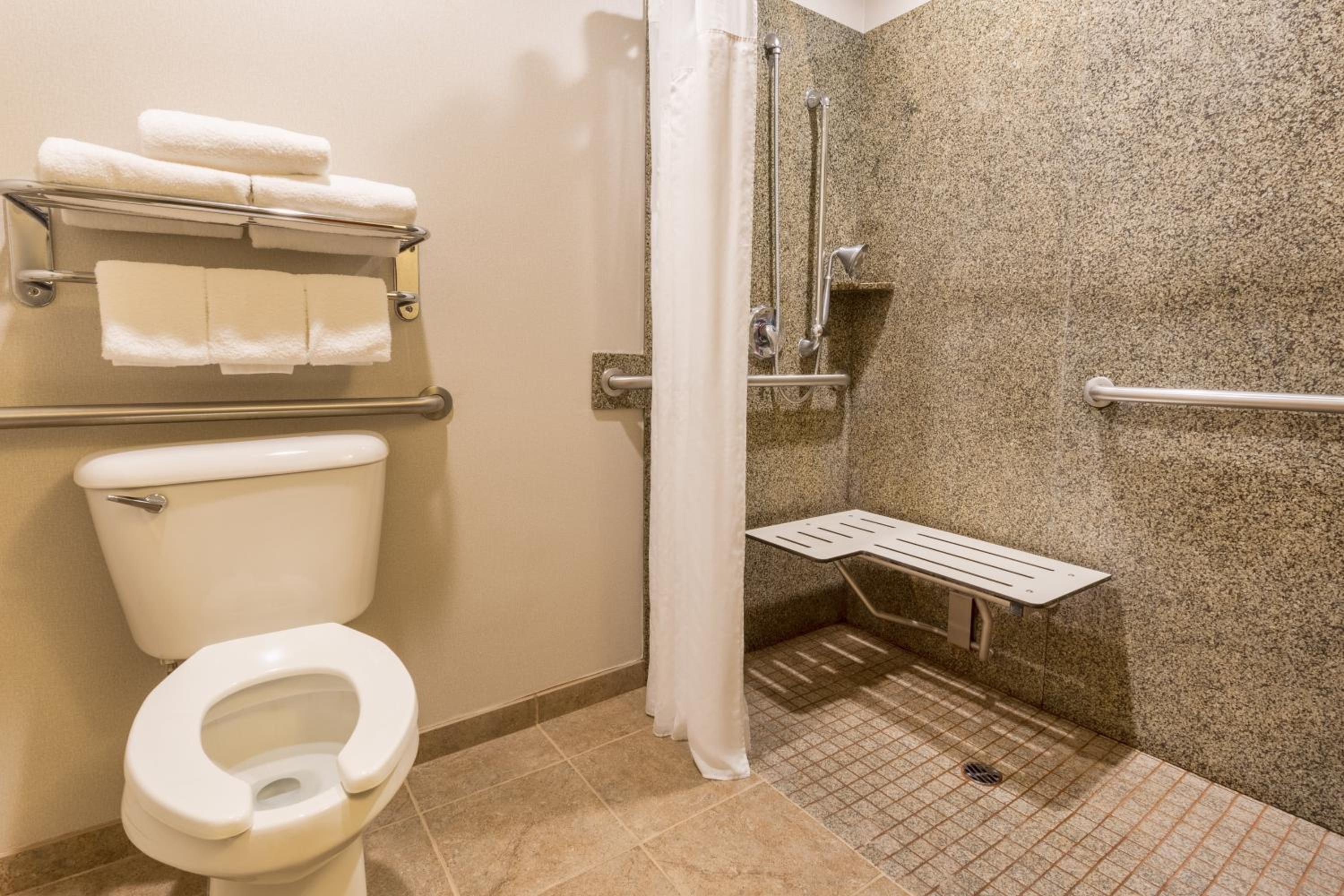 King Room - Hearing Accessible - Roll-in Shower - Photo 3