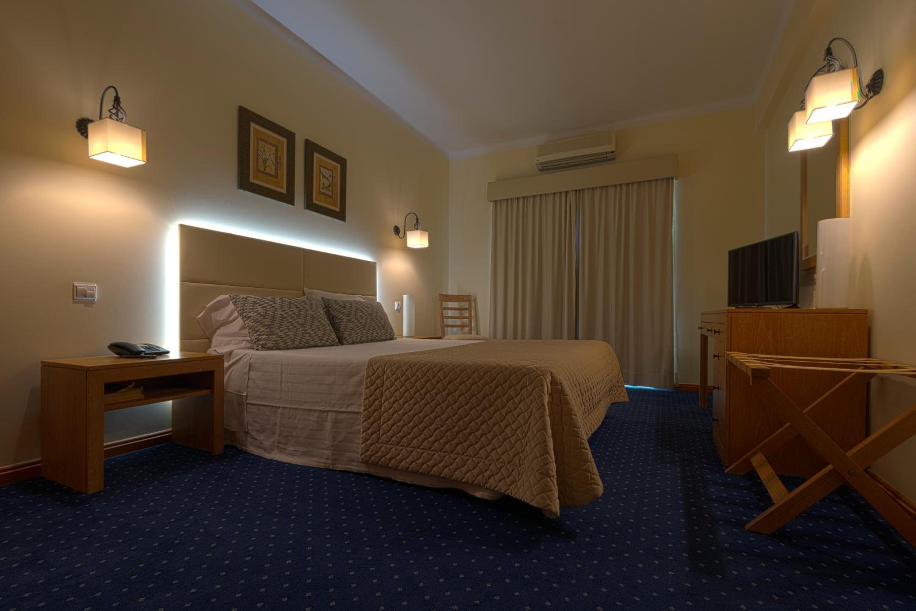 Suite - Photo 1