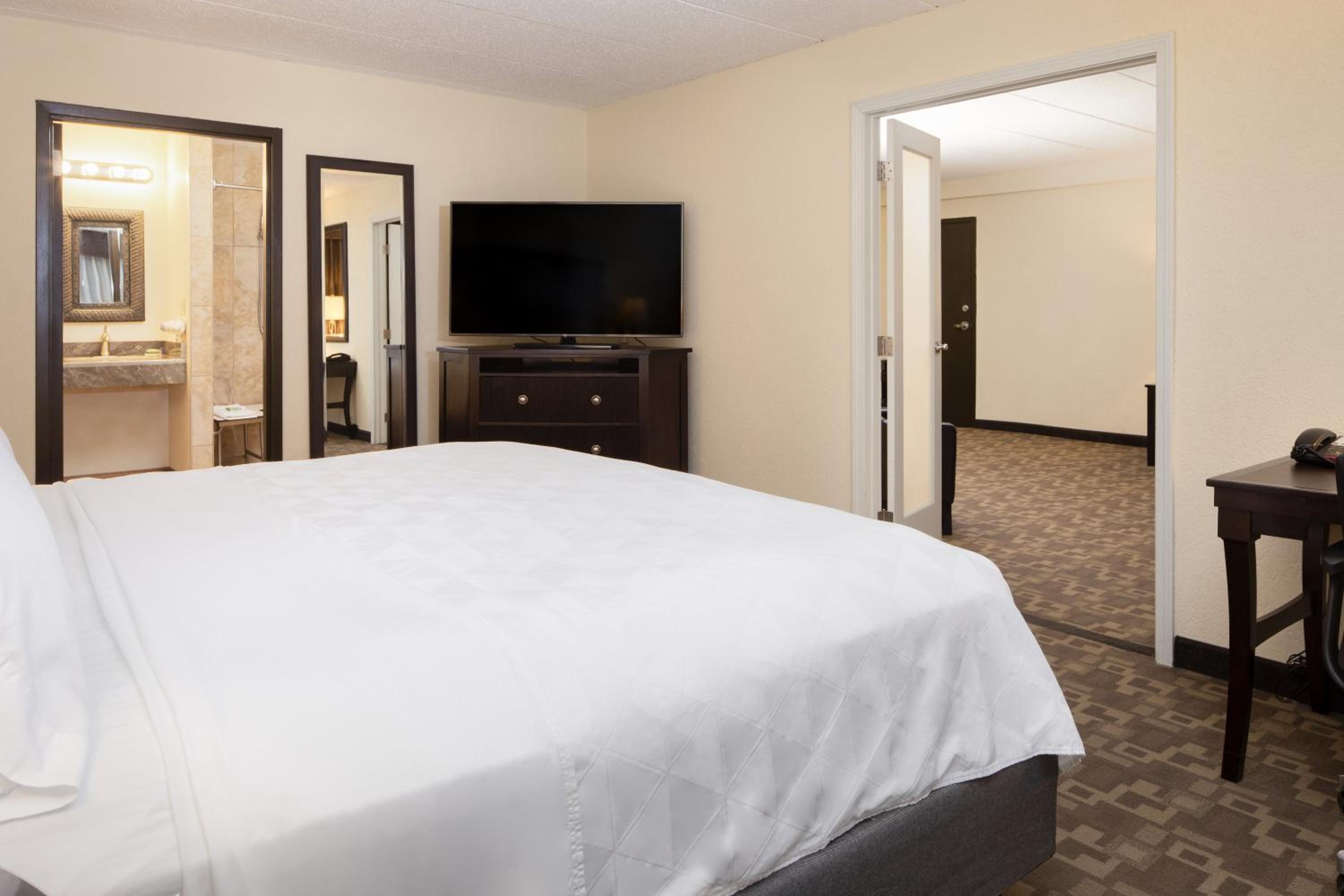 One-Bedroom Suite with Sofa Bed and Accessible Roll-In Shower, photo 6