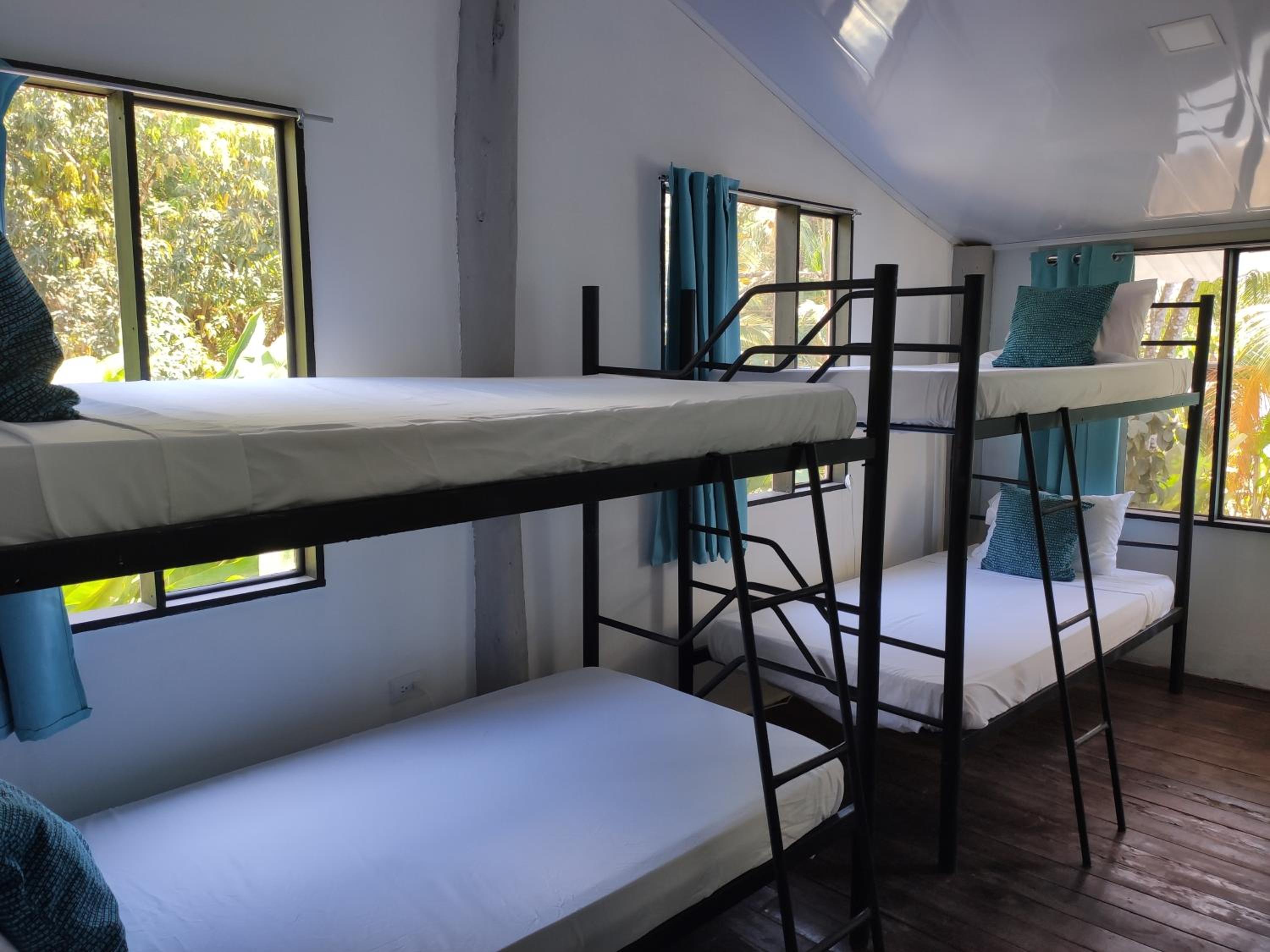 Single Bed in Mixed Dormitory Room
