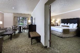 King Room with Pool View - Non-Smoking - Photo 3