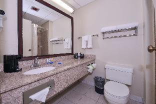 King Room with Mobility Access and Bathtub with Grab Bars, Non-Smoking - Photo 5