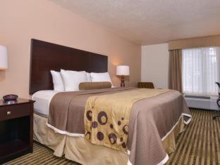 King Room - Non-Smoking - Photo 10