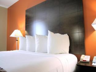 Executive Queen Room with Two Queen Beds - Non-Smoking - Photo 7