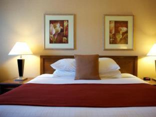 Queen Room with Roll-In Shower - Mobility Accessible/Non-Smoking - Photo 4