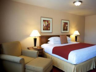 Queen Room with Roll-In Shower - Mobility Accessible/Non-Smoking - Photo 3