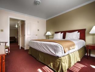 King Room with Roll-in Shower - Disability Access/Non-Smoking - Photo 12