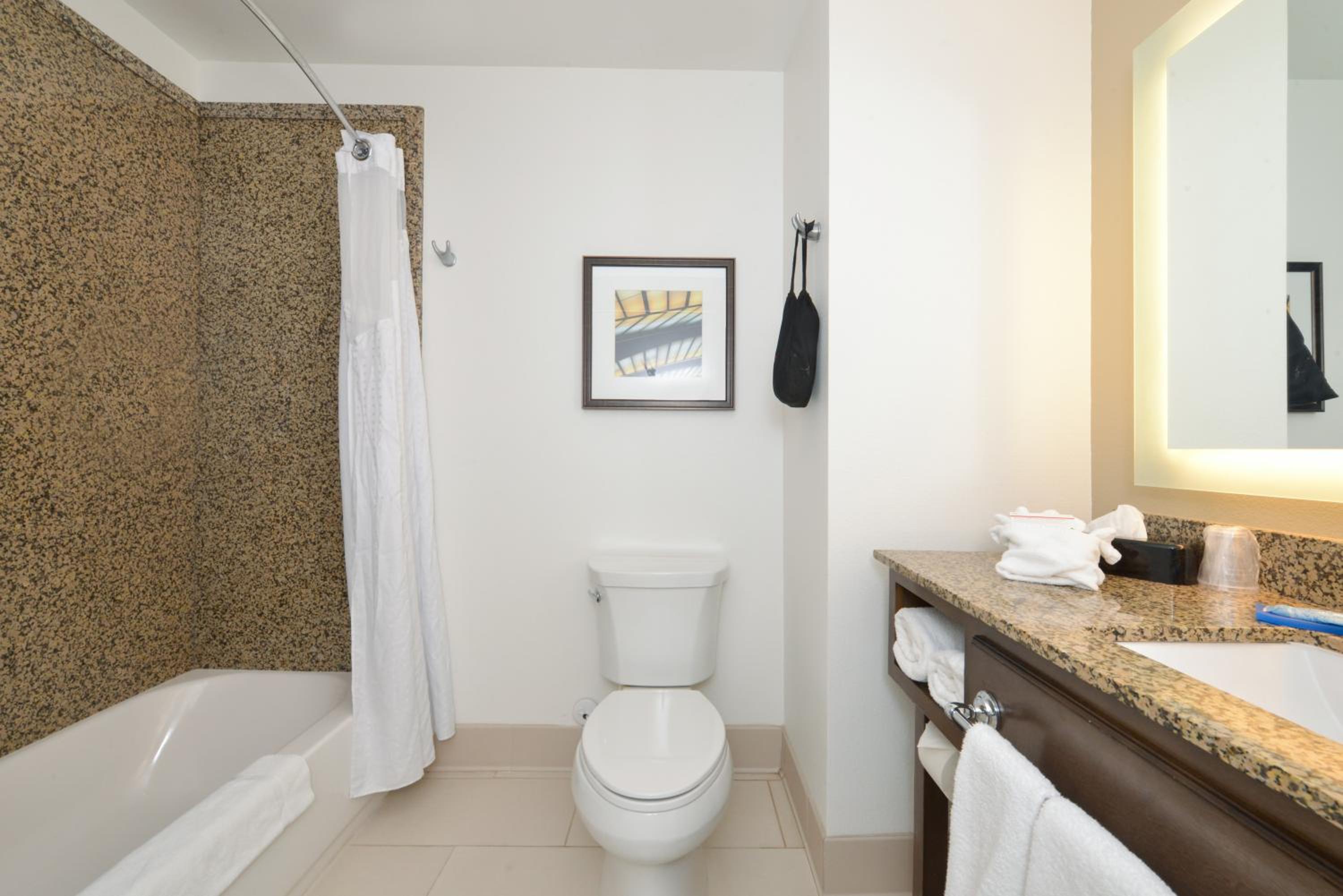 Suite - Hearing Accessible photo 2